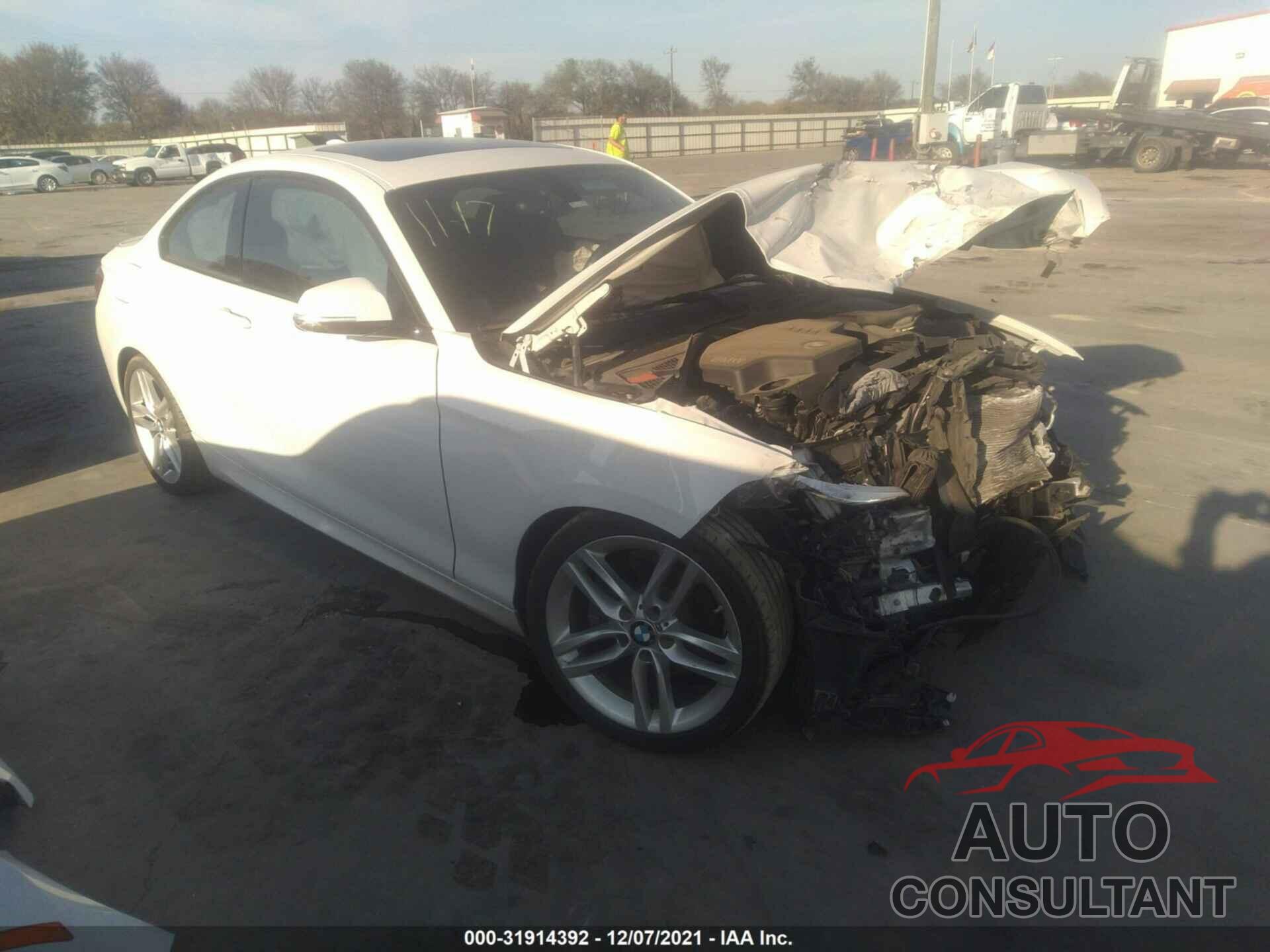 BMW 2 SERIES 2016 - WBA1F9C57GV545864