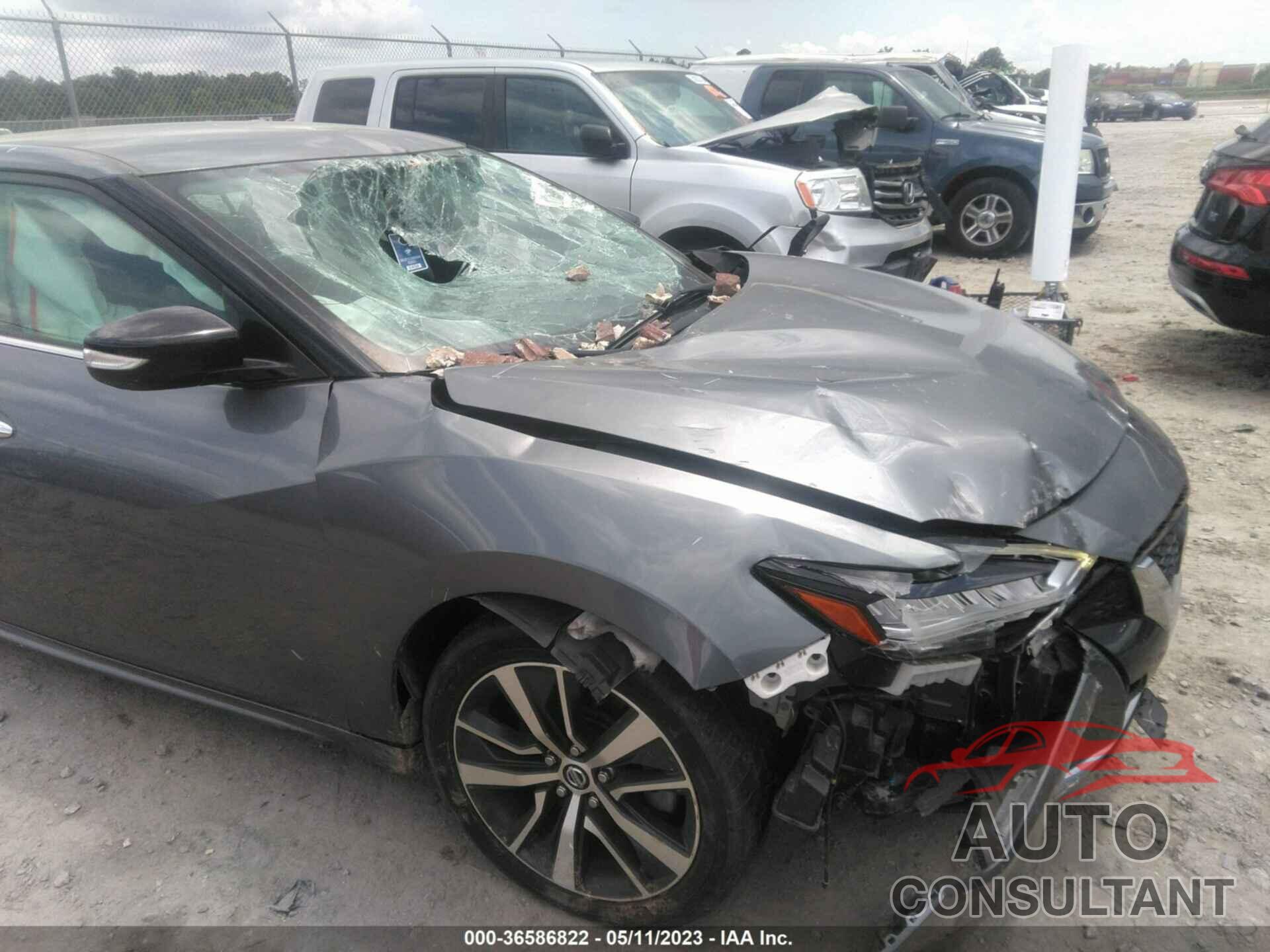 NISSAN MAXIMA 2019 - 1N4AA6AV2KC368170