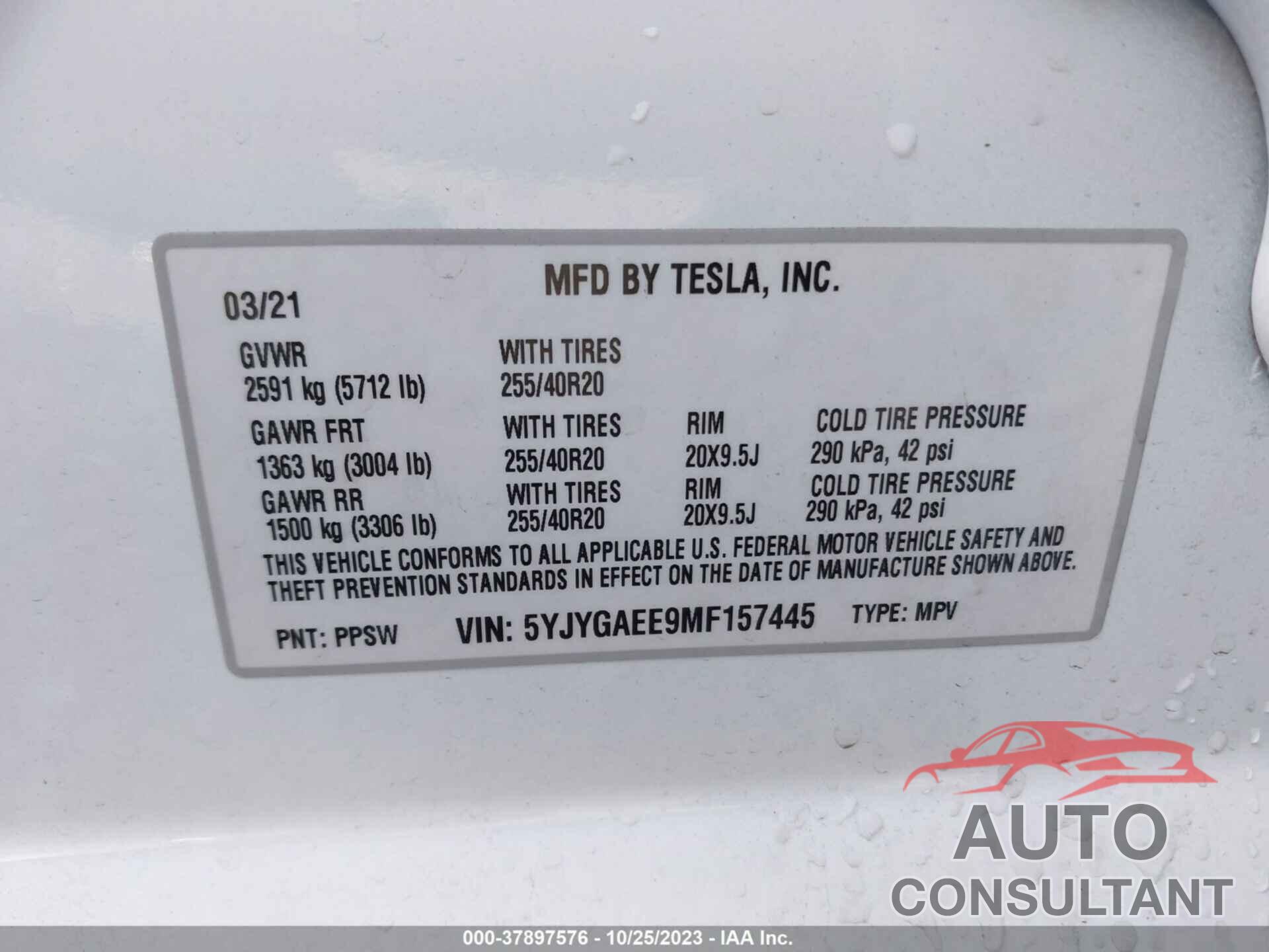 TESLA MODEL Y 2021 - 5YJYGAEE9MF157445