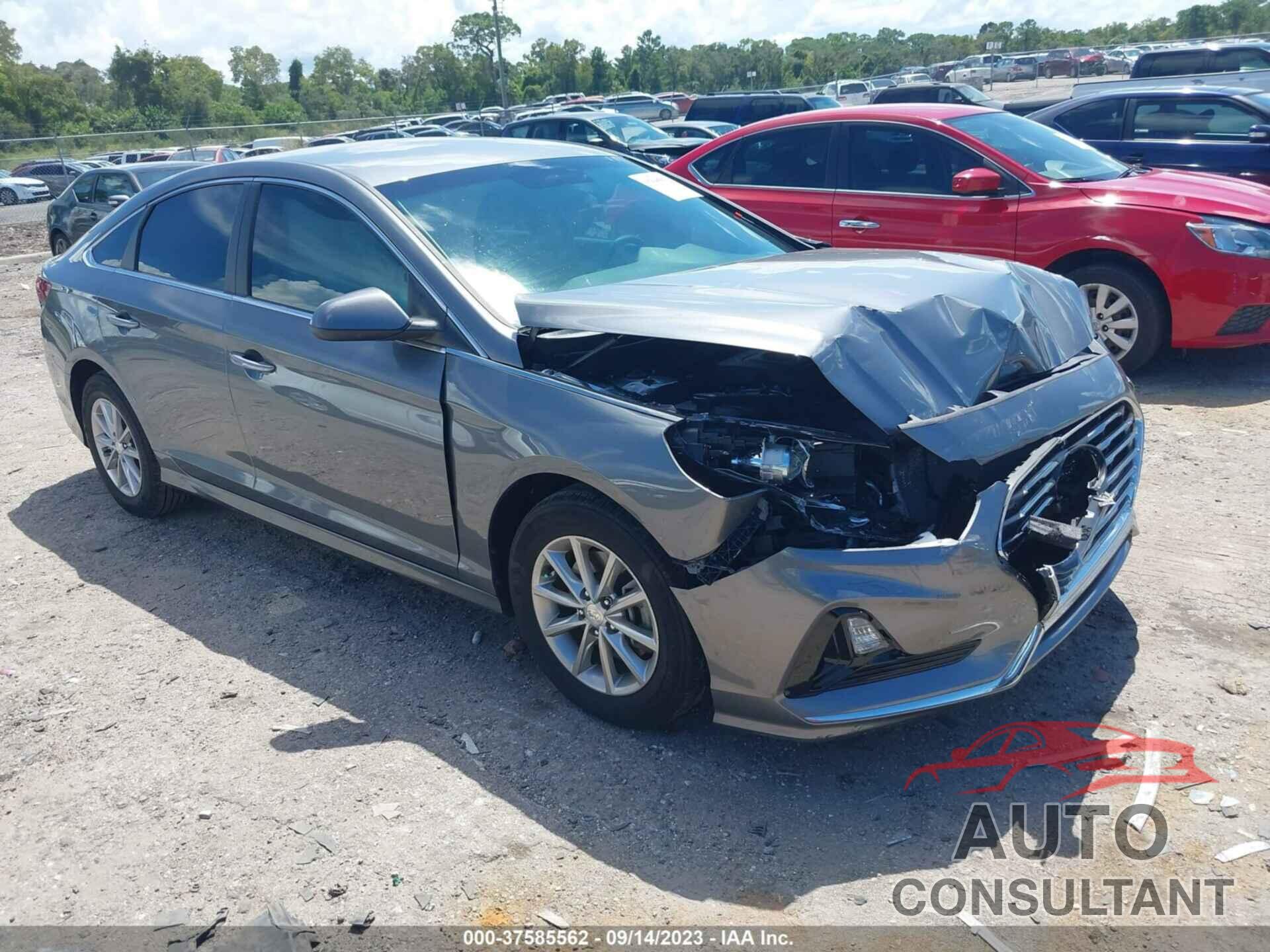 HYUNDAI SONATA 2019 - 5NPE24AF1KH793258