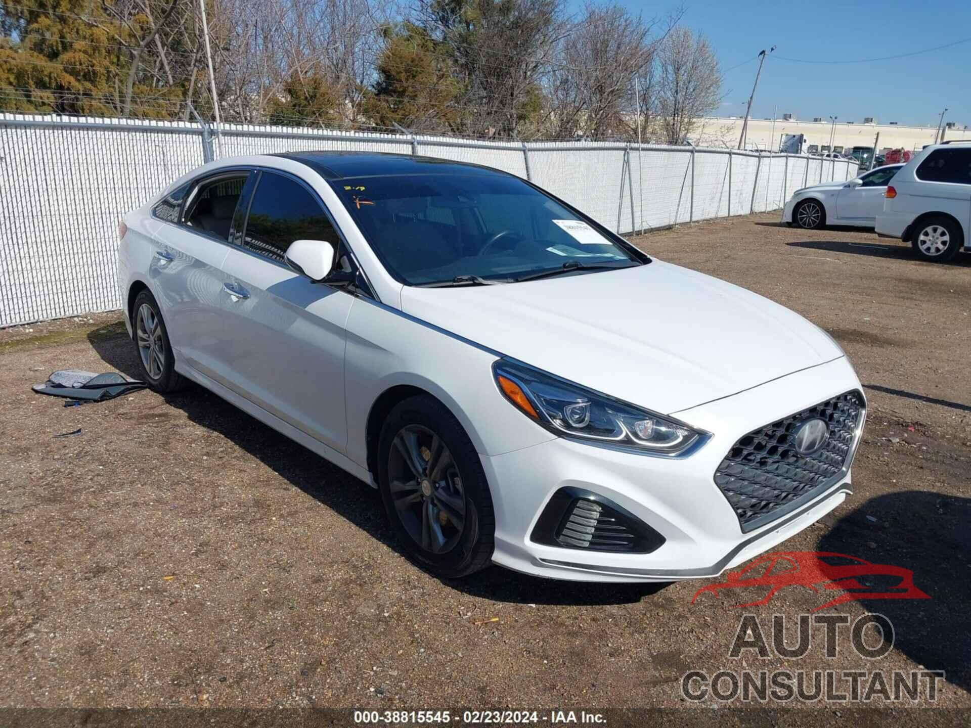 HYUNDAI SONATA 2019 - 5NPE34AF1KH738032