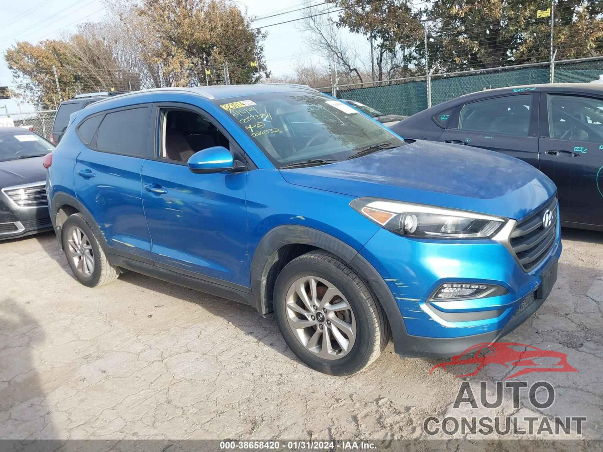 HYUNDAI TUCSON 2016 - KM8J33A43GU026332