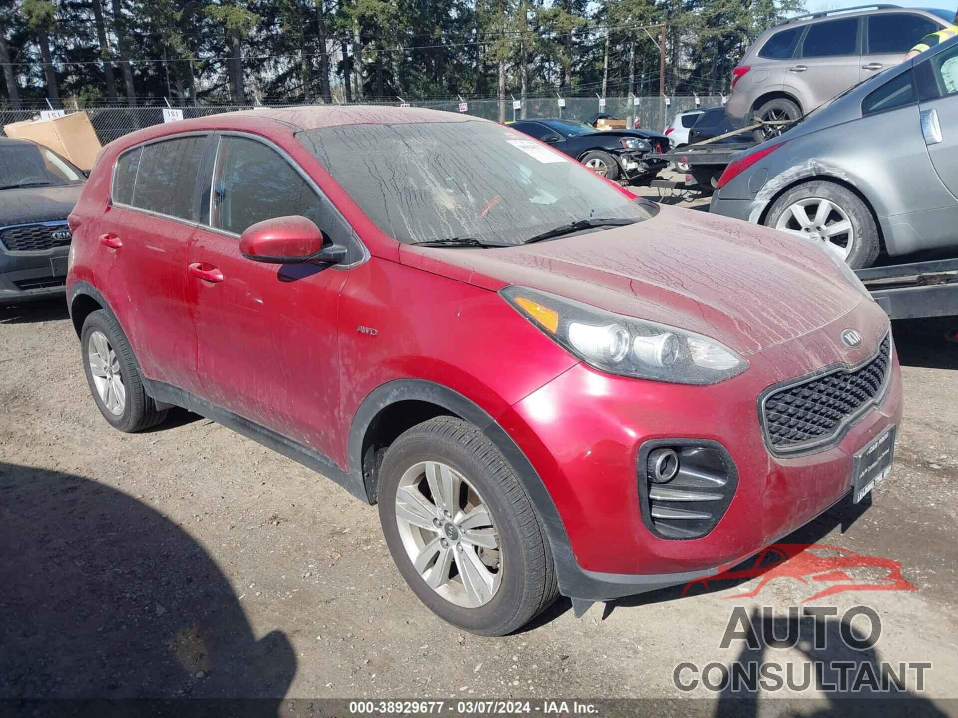 KIA SPORTAGE 2019 - KNDPMCAC5K7584662