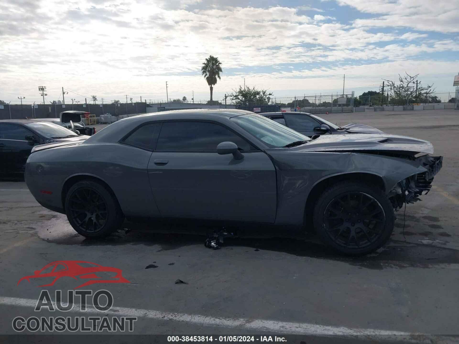 DODGE CHALLENGER 2019 - 2C3CDZAG9KH667301