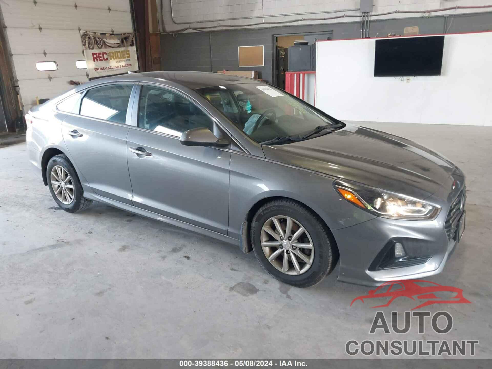 HYUNDAI SONATA 2019 - 5NPE24AF2KH804784