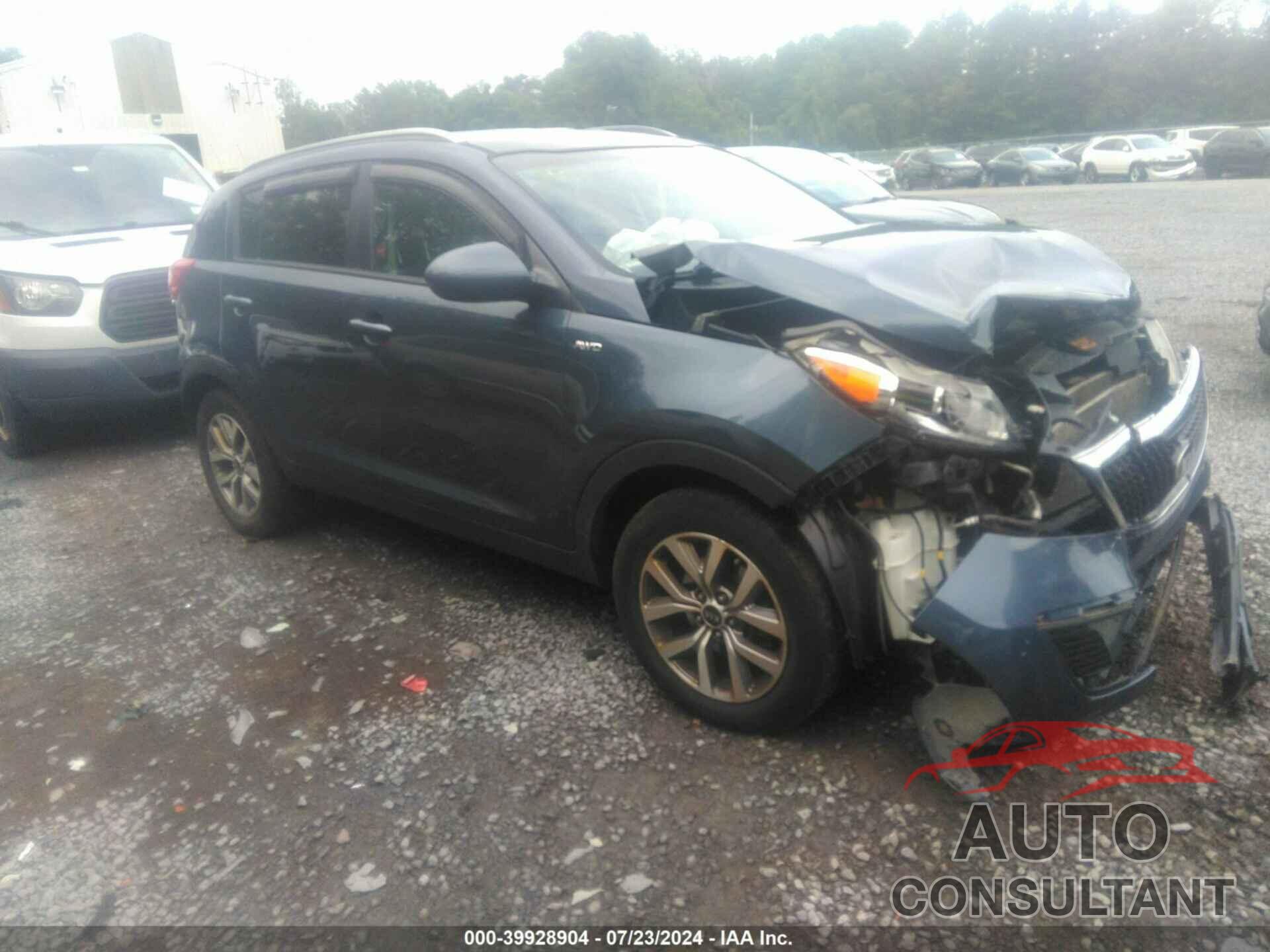 KIA SPORTAGE 2016 - KNDPBCAC5G7811135