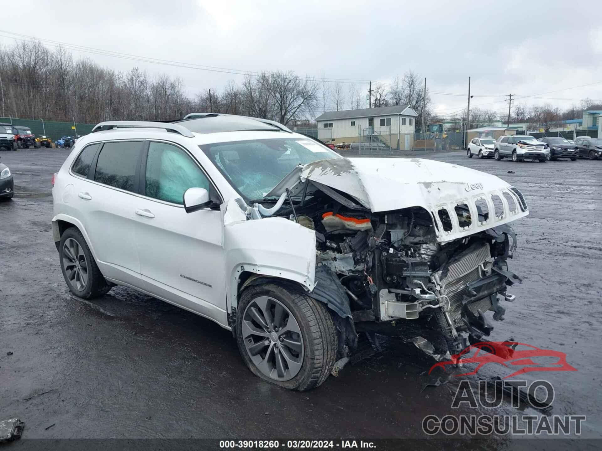 JEEP CHEROKEE 2019 - 1C4PJMJN2KD162950