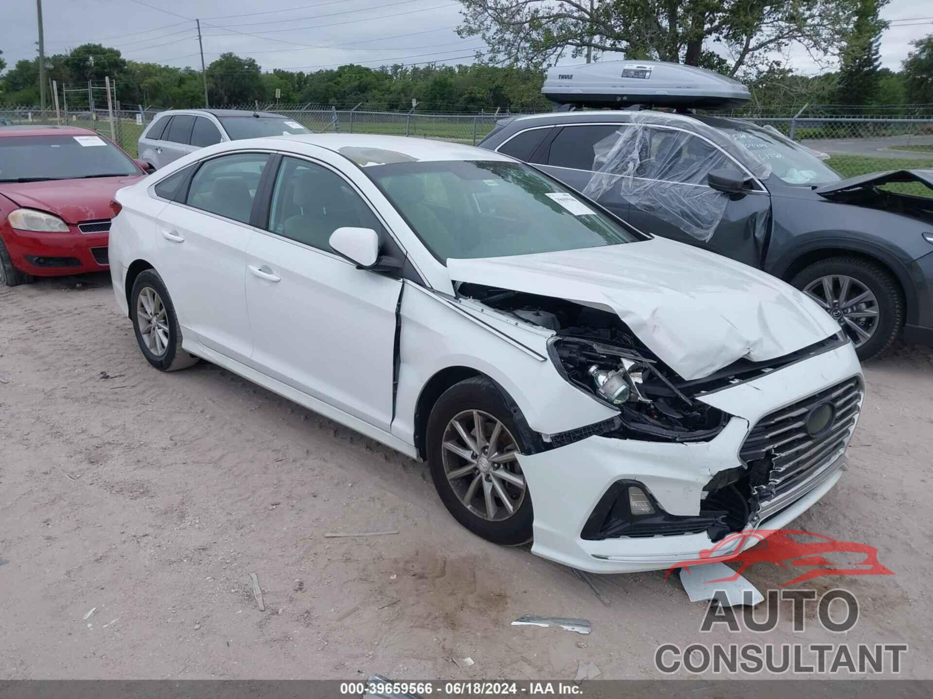 HYUNDAI SONATA 2019 - 5NPE24AF2KH736194