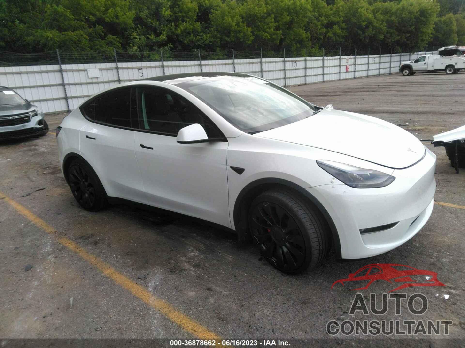 TESLA MODEL Y 2022 - 7SAYGDEF9NF543488