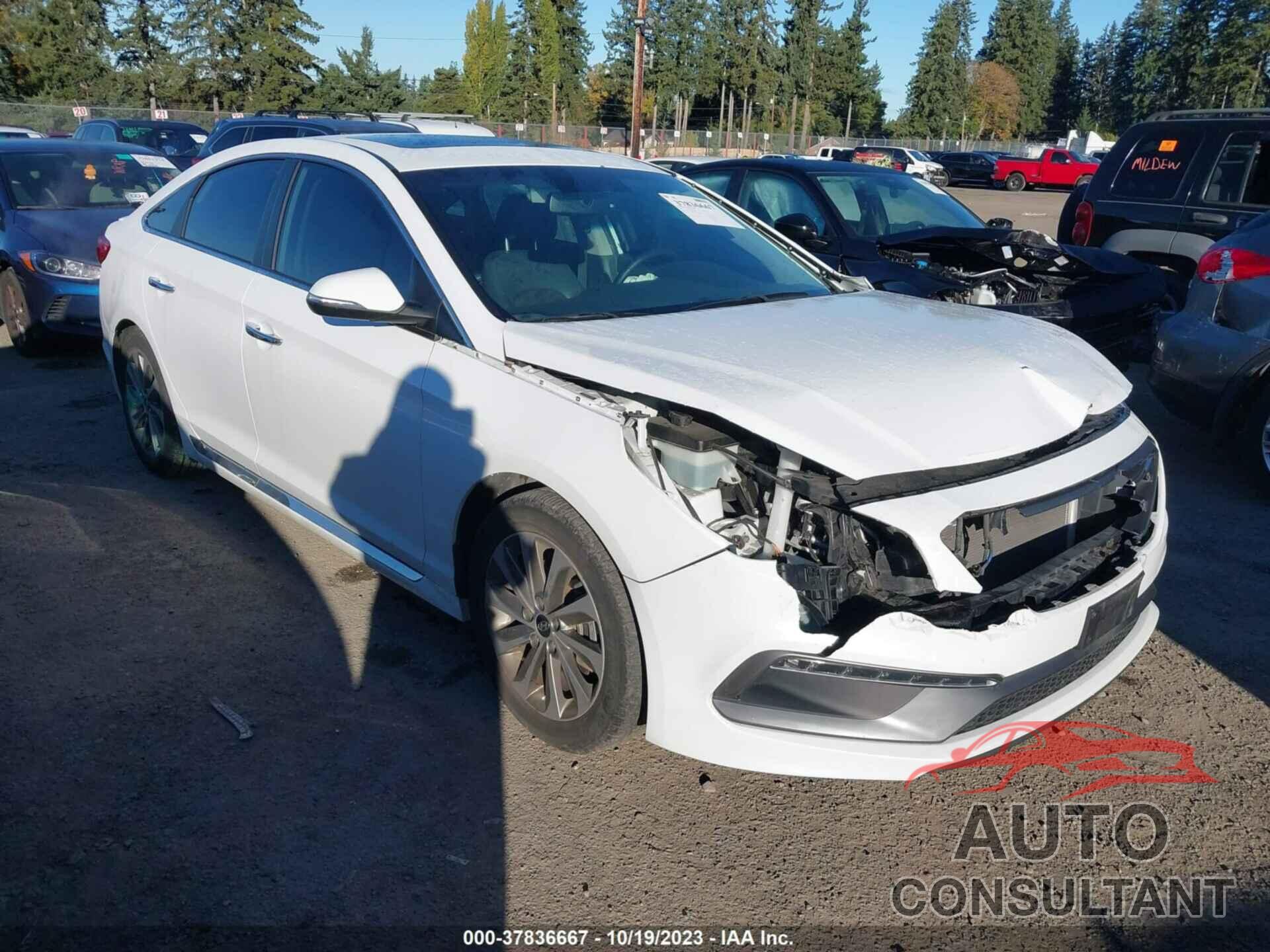 HYUNDAI SONATA 2016 - 5NPE34AF7GH353064