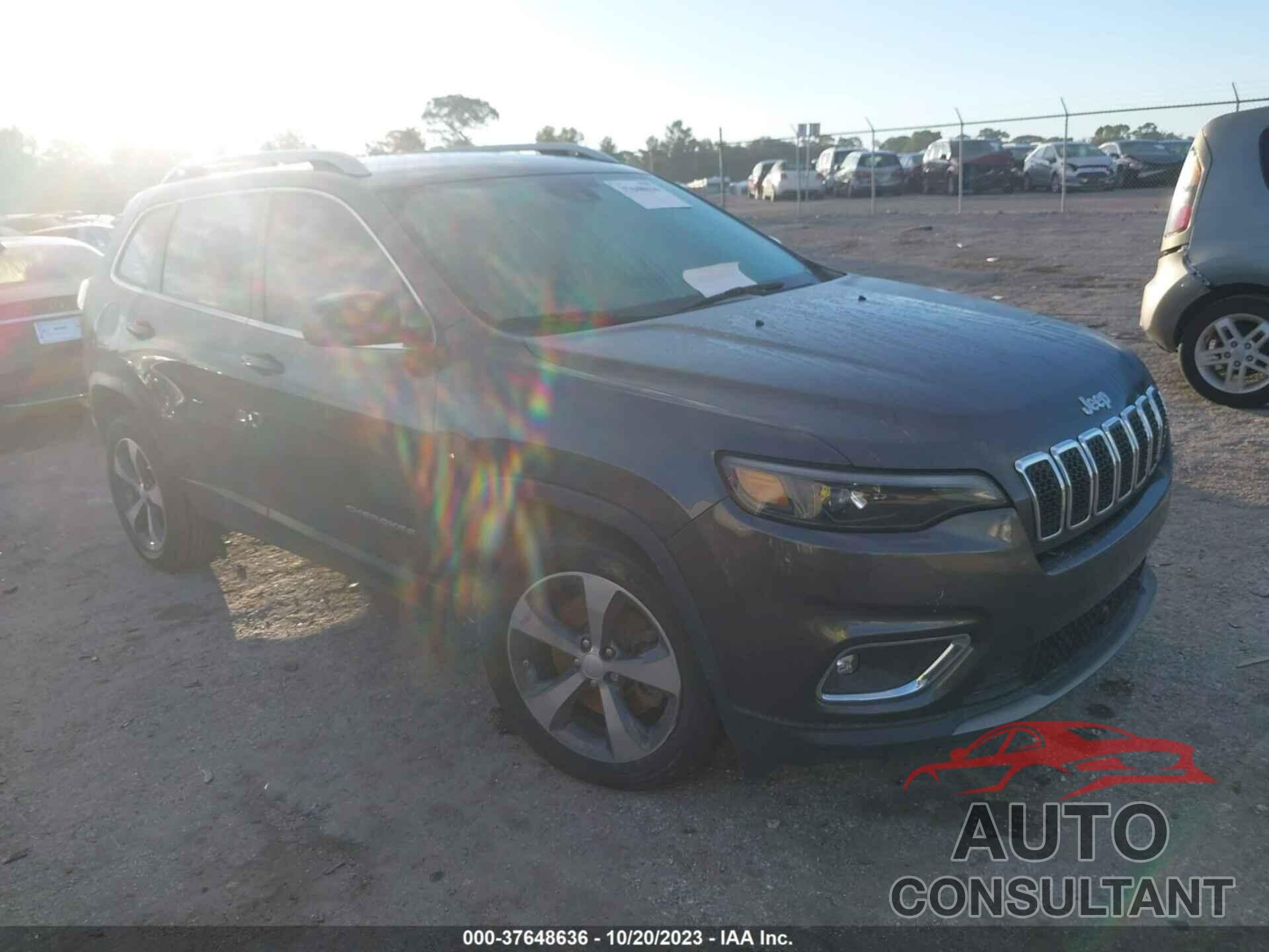 JEEP CHEROKEE 2019 - 1C4PJLDN1KD160659