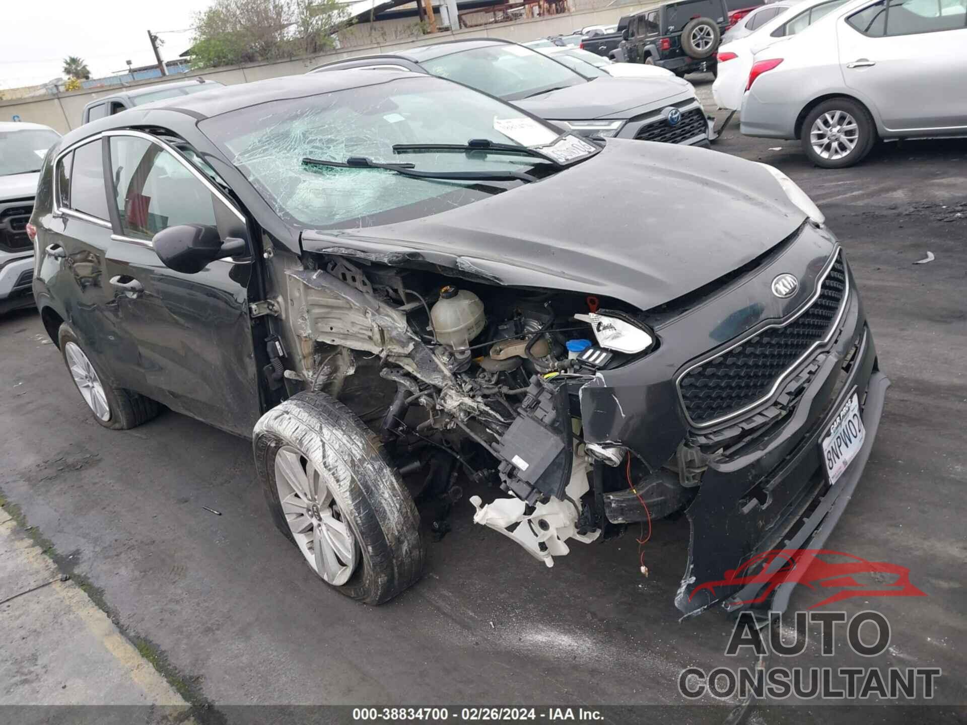 KIA SPORTAGE 2017 - KNDPM3AC7H7103500