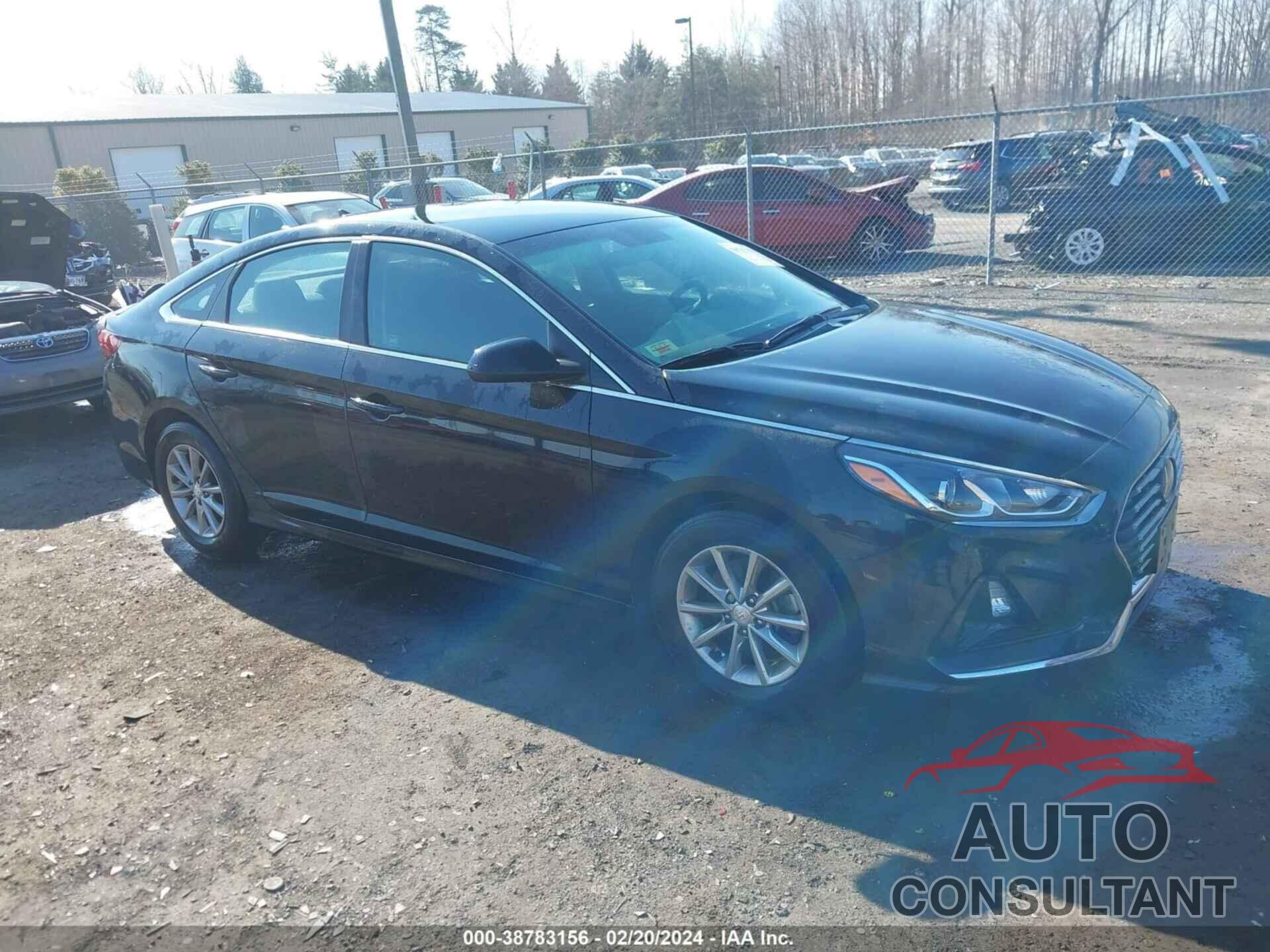 HYUNDAI SONATA 2019 - 5NPE24AF2KH742836
