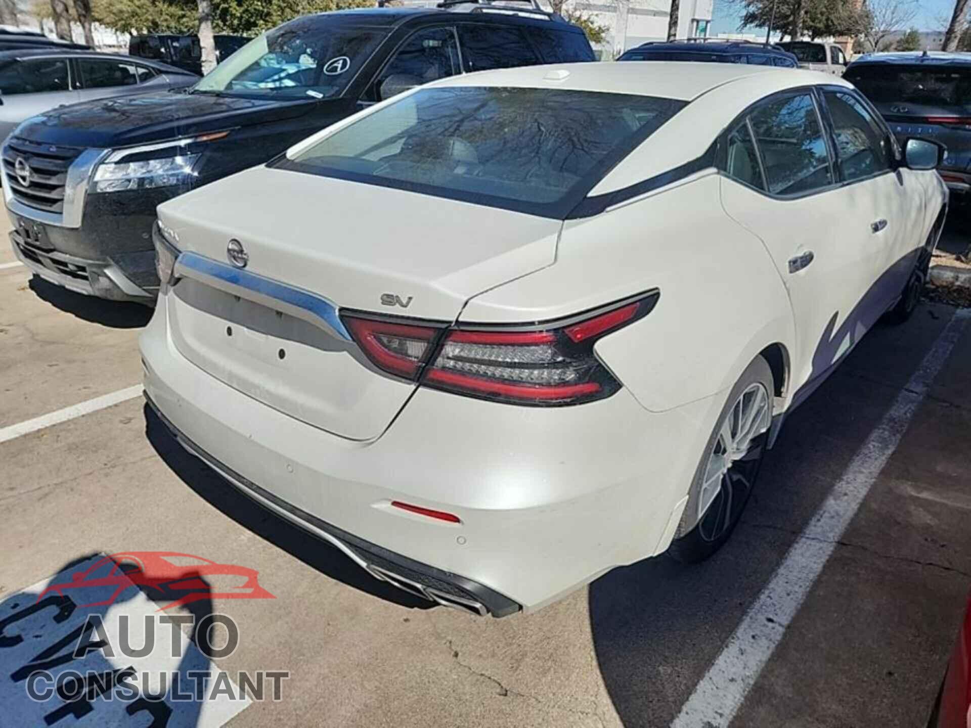 NISSAN MAXIMA 2023 - 1N4AA6CV3PC503581