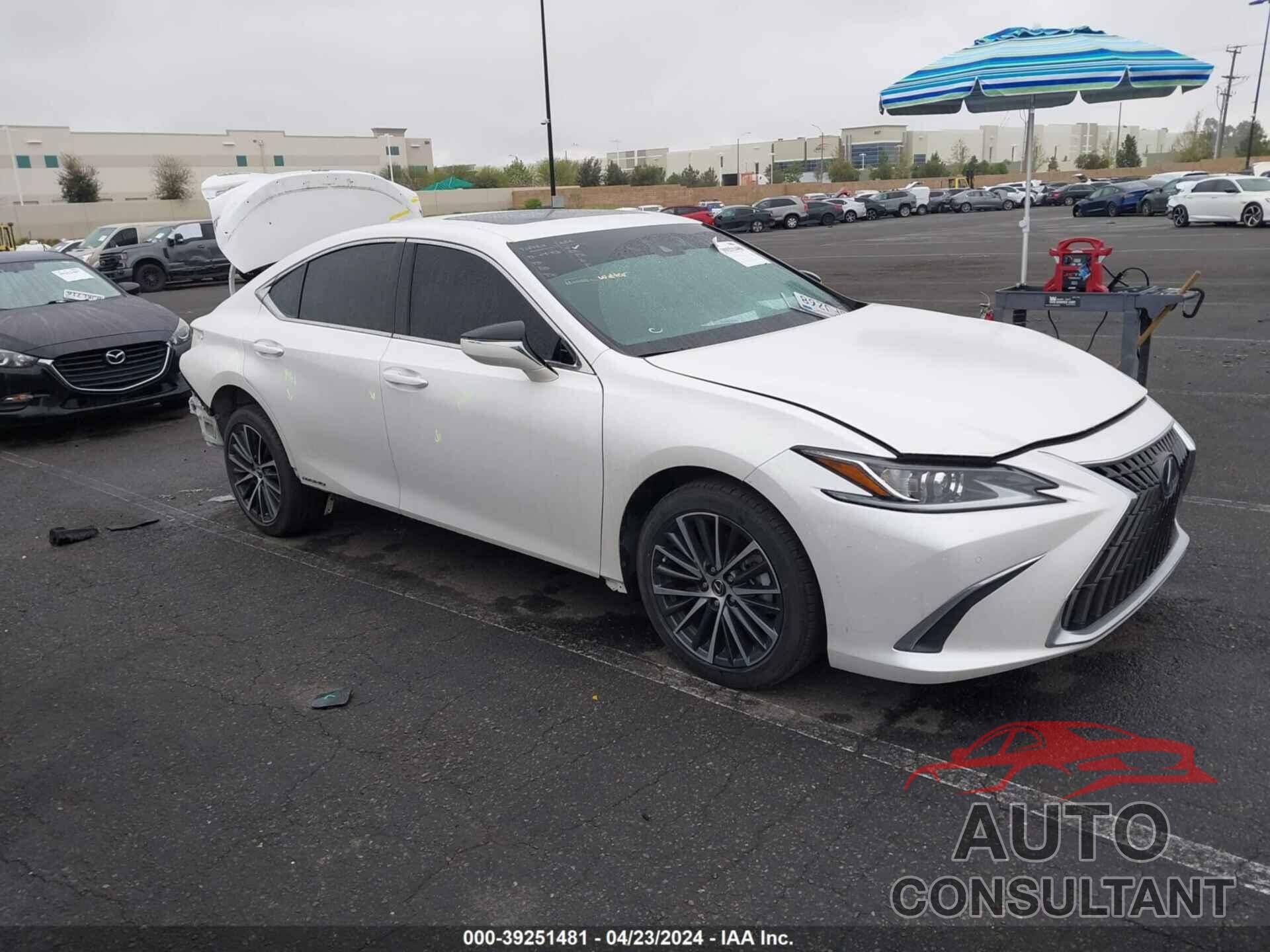 LEXUS ES 300H 2022 - 58ADA1C1XNU020074