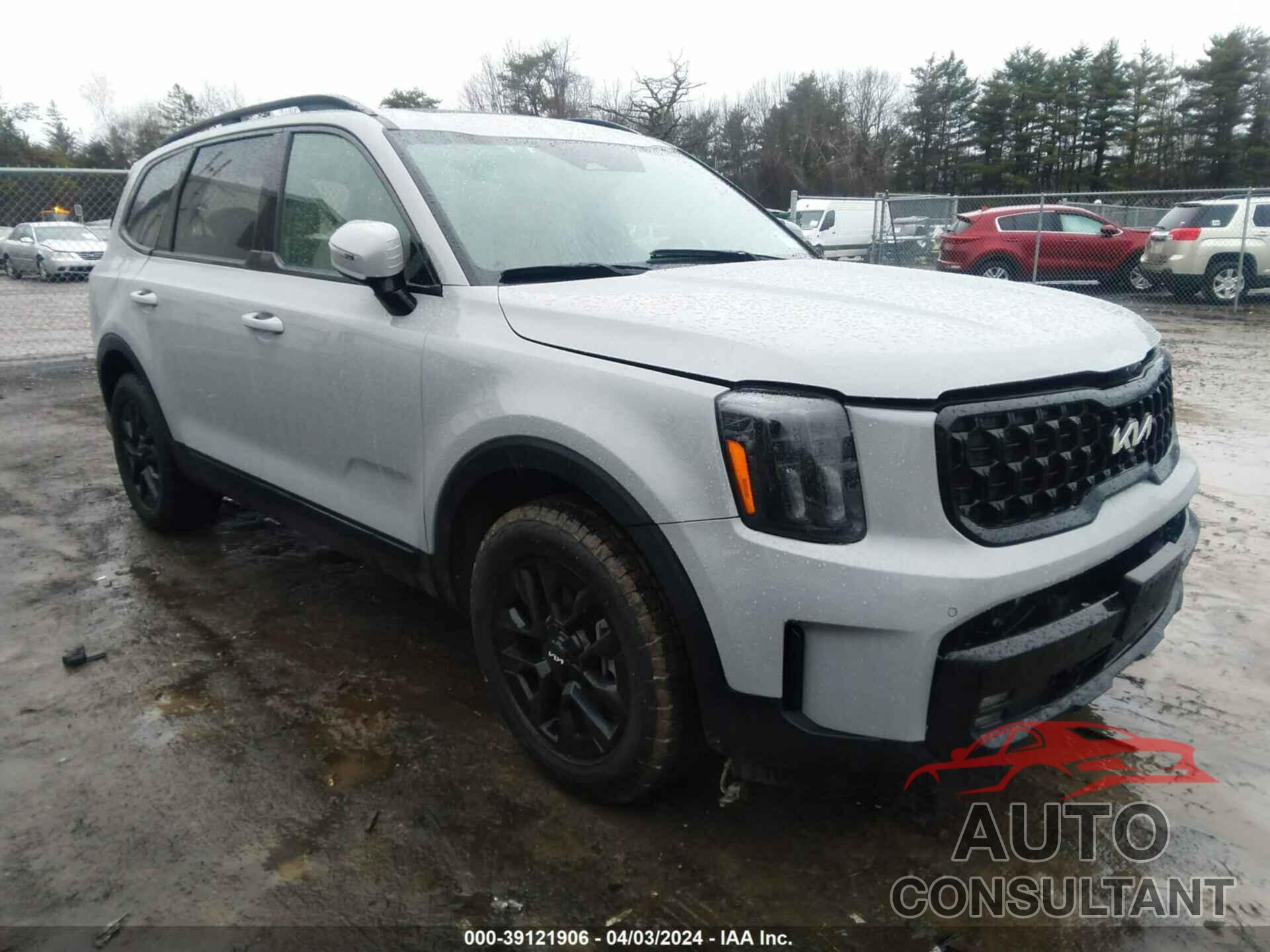 KIA TELLURIDE 2024 - 5XYP5DGCXRG417592