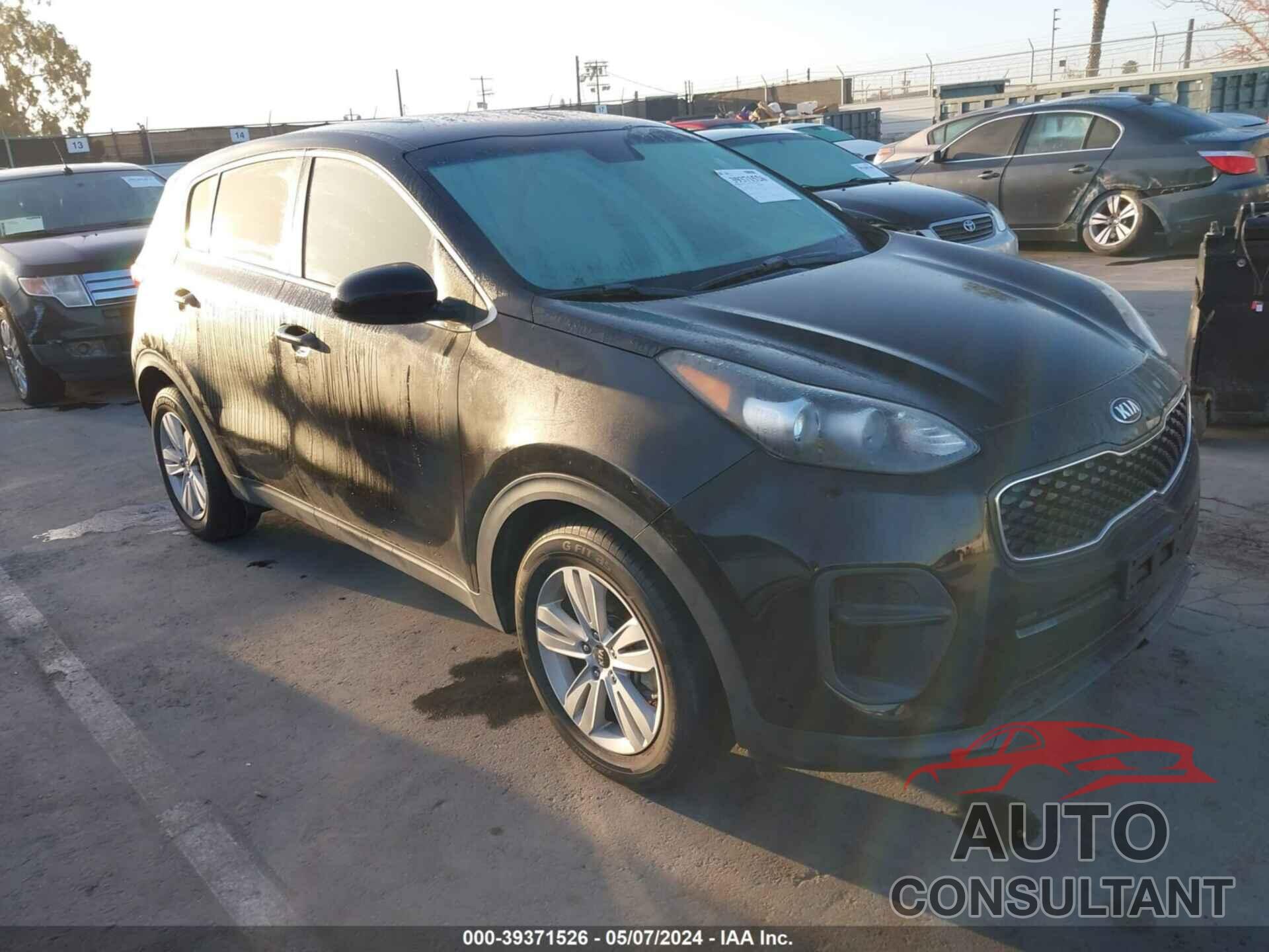 KIA SPORTAGE 2017 - KNDPM3AC5H7102913
