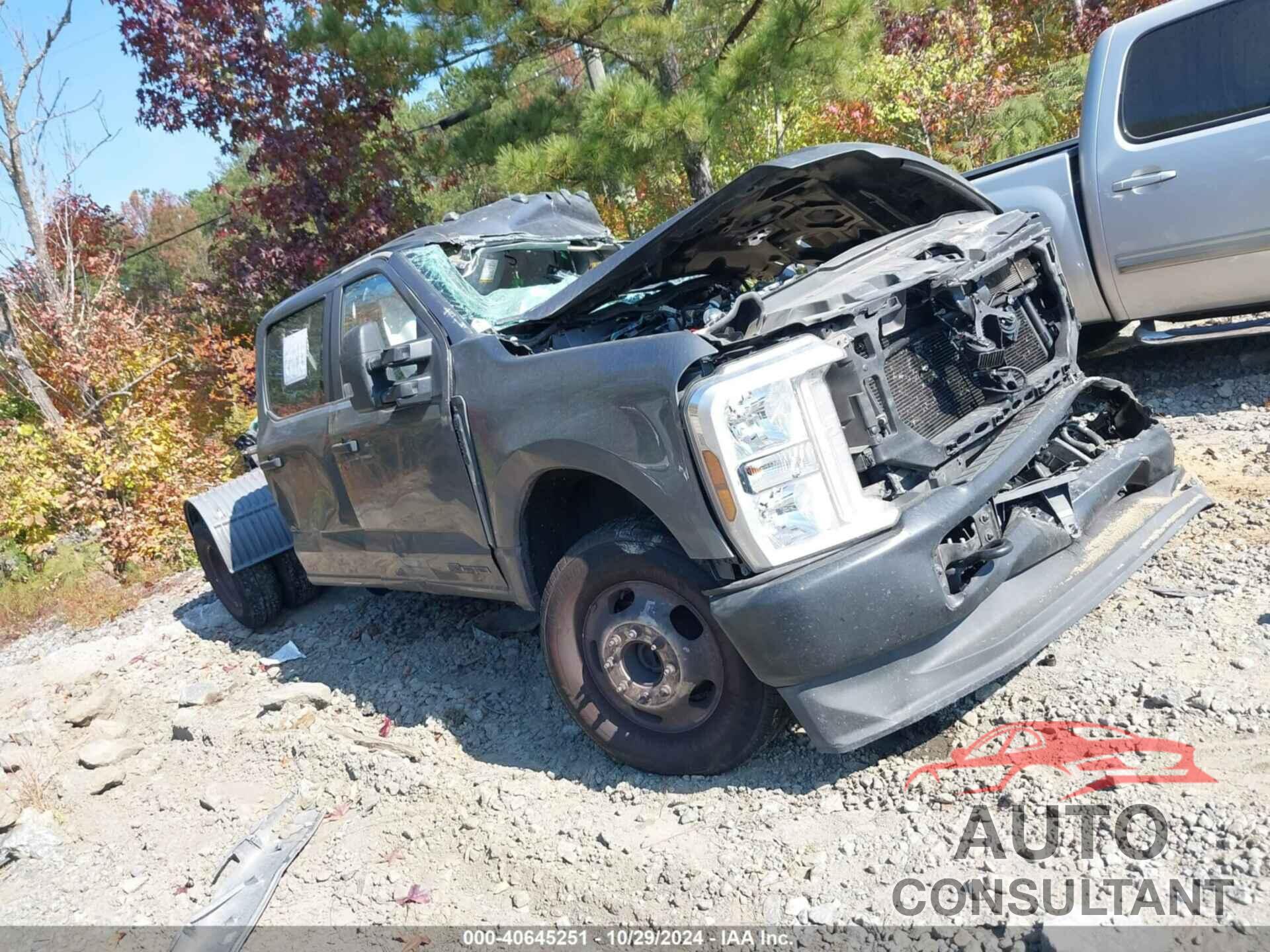 FORD F-350 2024 - 1FT8W3DT6REC94785