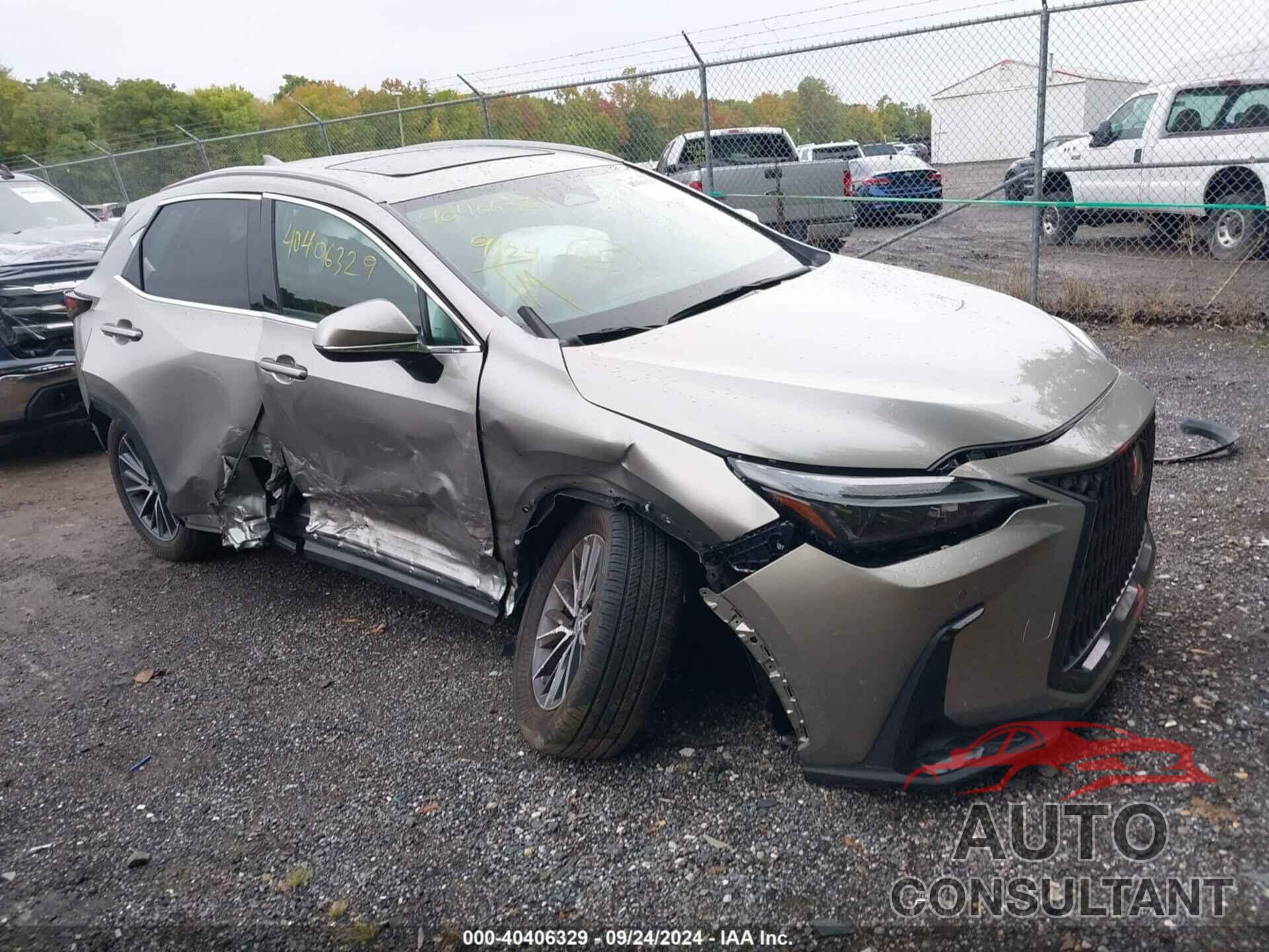 LEXUS NX 350 2022 - 2T2GGCEZ1NC005185