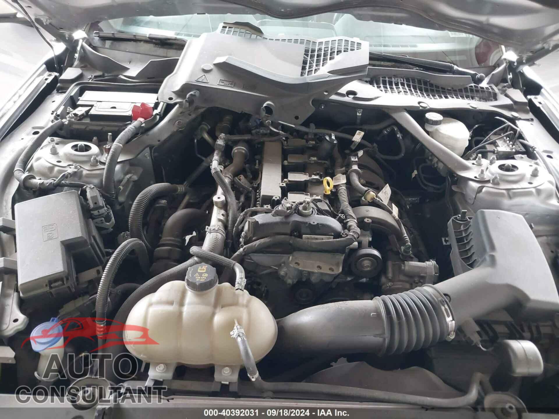 FORD MUSTANG 2021 - 1FATP8UH5M5122584