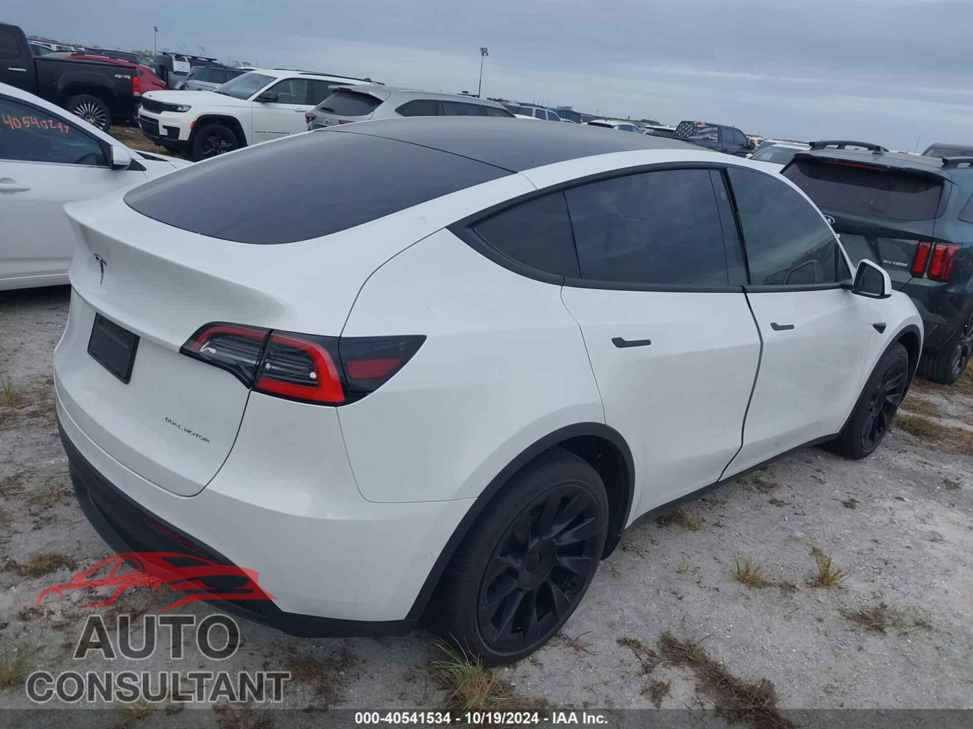 TESLA MODEL Y 2021 - 5YJYGDEE1MF112176