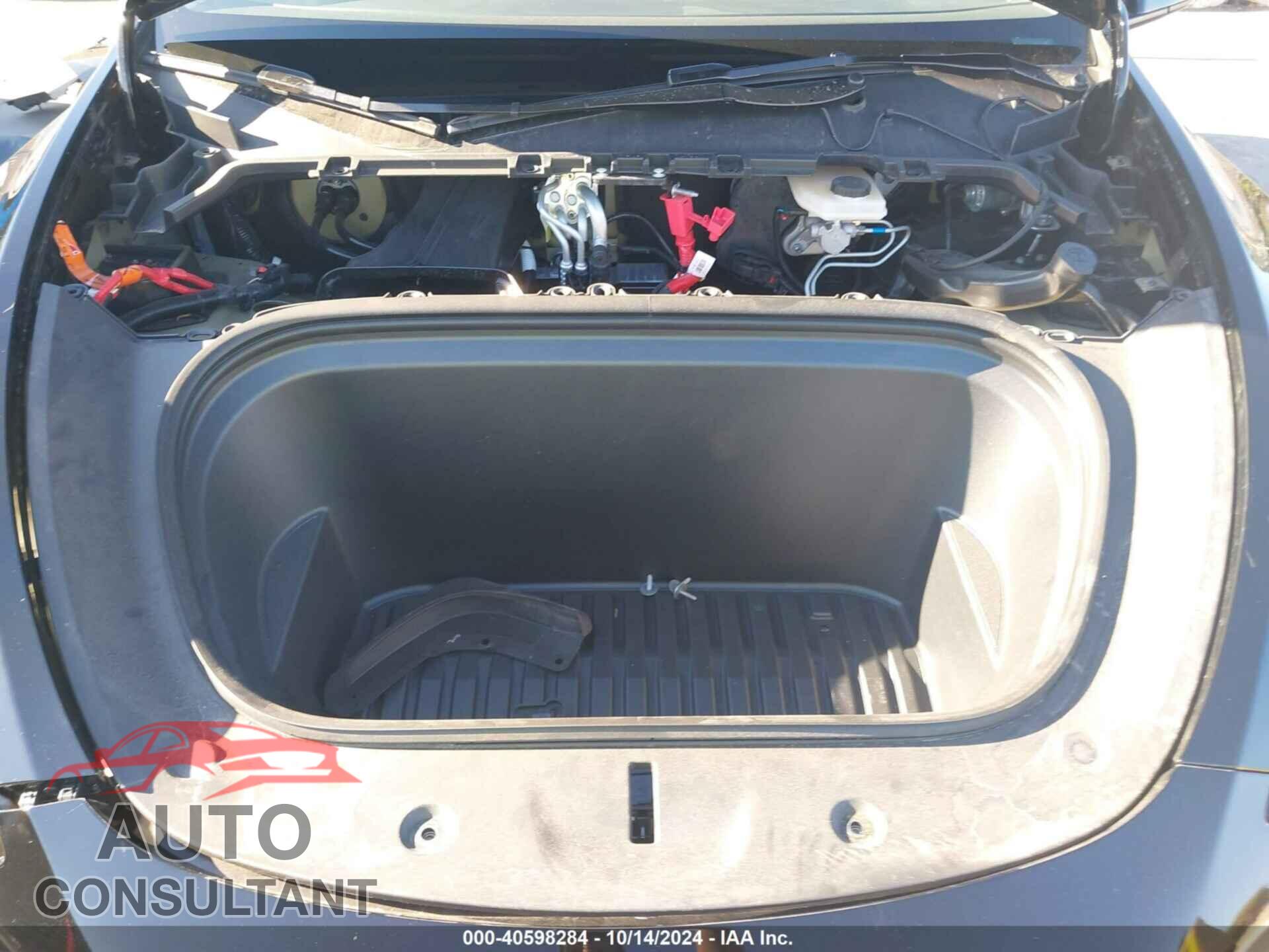TESLA MODEL Y 2024 - 7SAYGDEE5RF982457