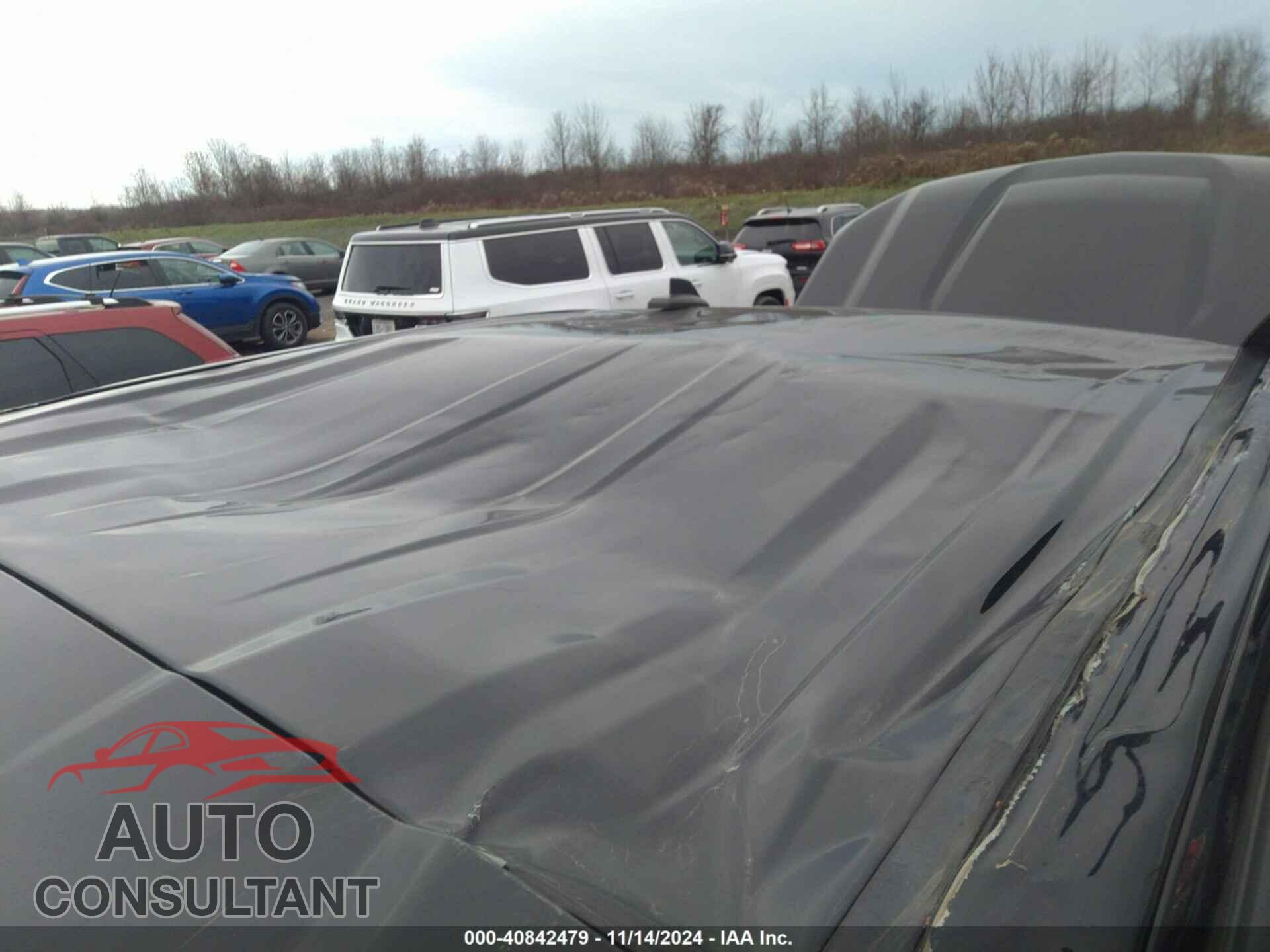 CHEVROLET SILVERADO 1500 2021 - 3GCPYCEF9MG355093