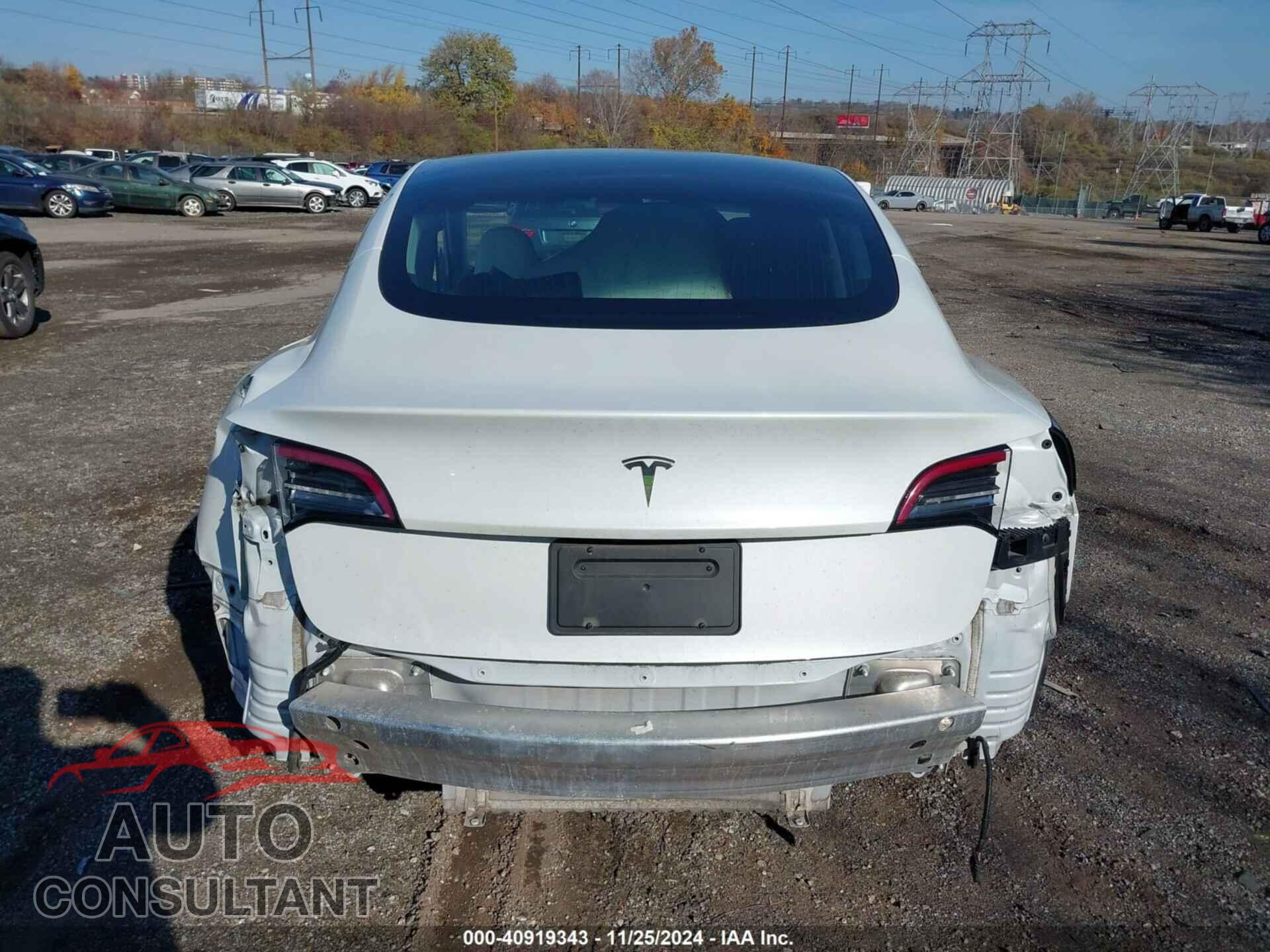 TESLA MODEL 3 2020 - 5YJ3E1EA6LF709978