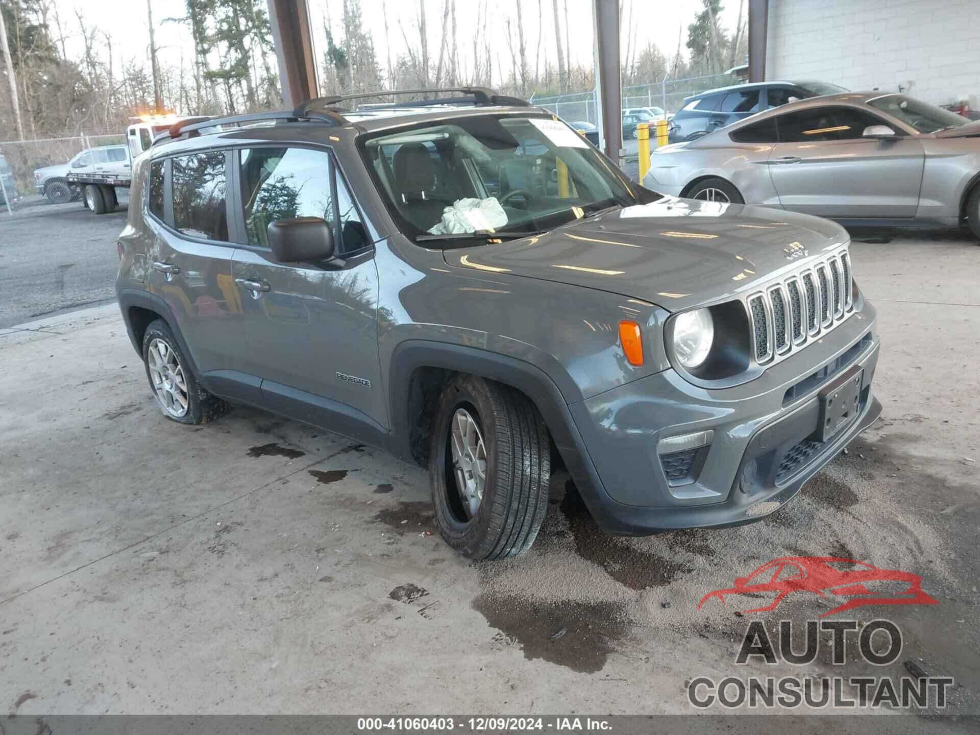 JEEP RENEGADE 2019 - ZACNJAABXKPK39641