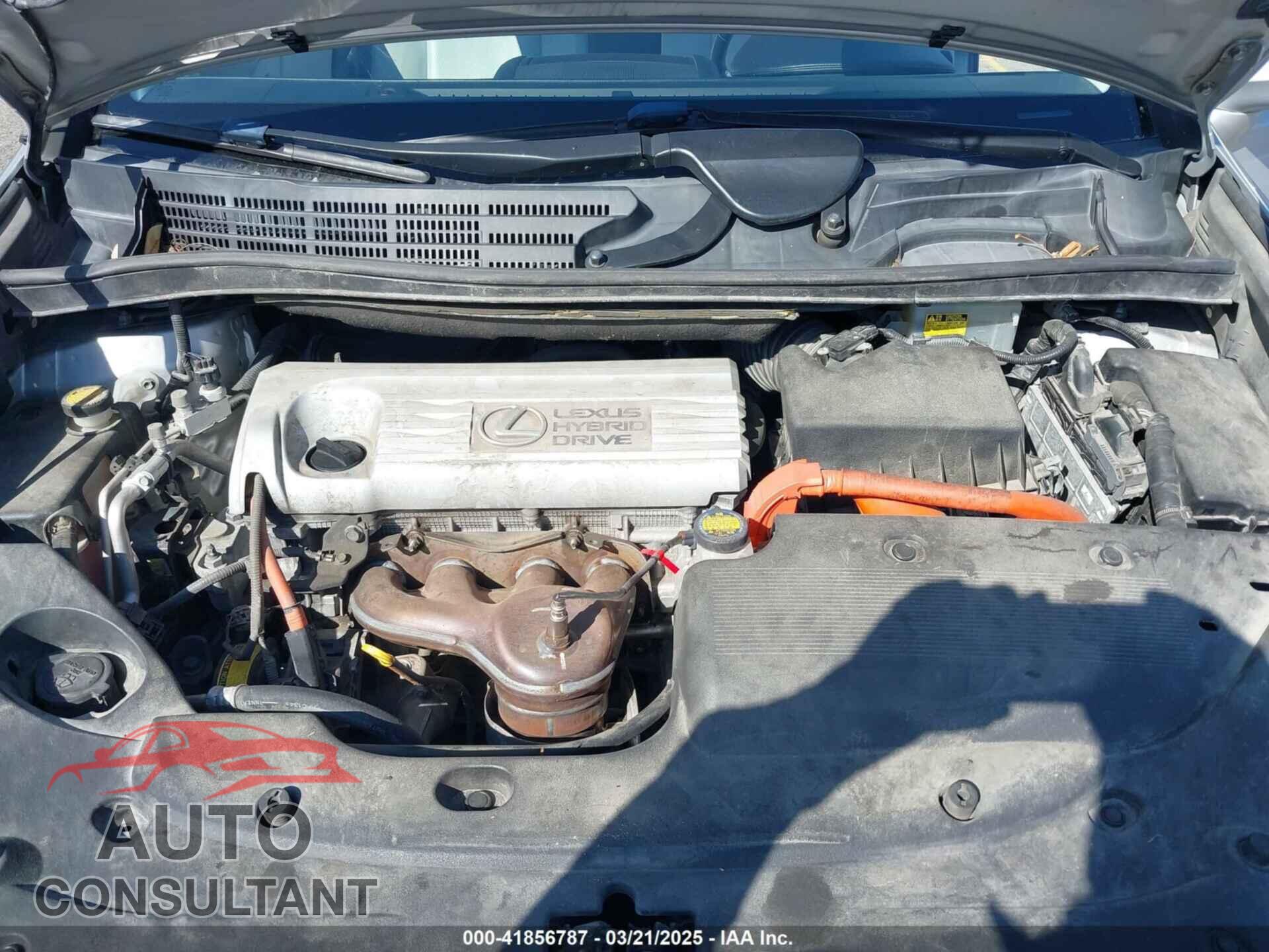LEXUS HS 250H 2010 - JTHBB1BA9A2000856