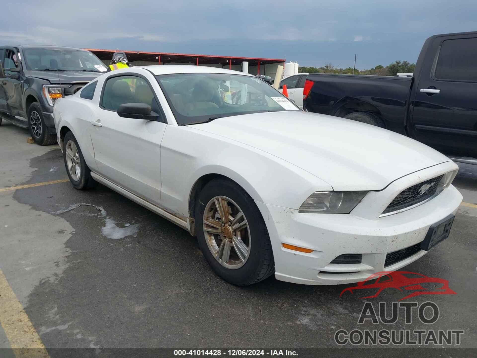 FORD MUSTANG 2014 - 1ZVBP8AM6E5212333