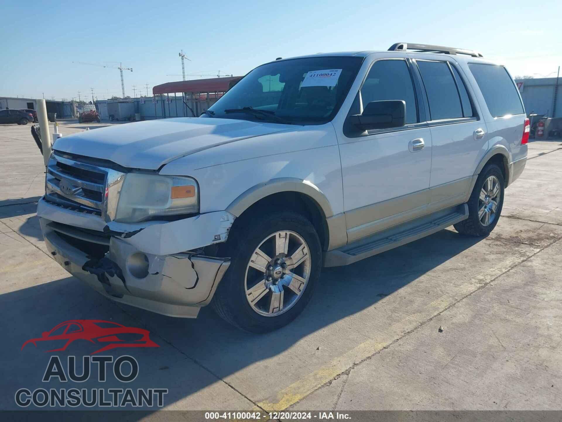 FORD EXPEDITION 2009 - 1FMFU17569EB20855