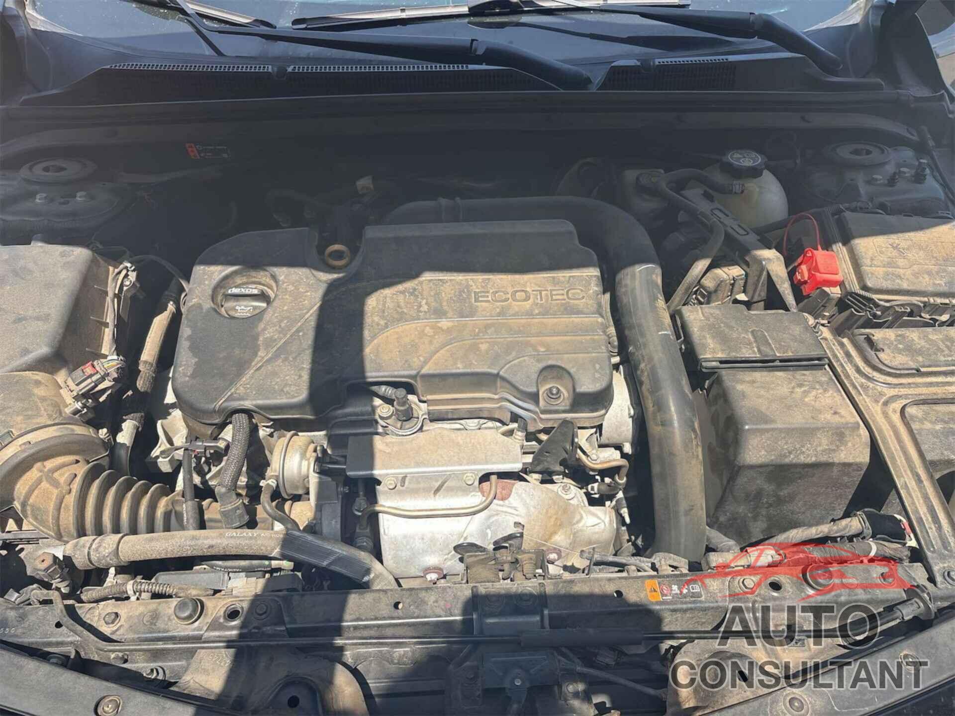 CHEVROLET MALIBU 2019 - 1G1ZD5ST7KF172616