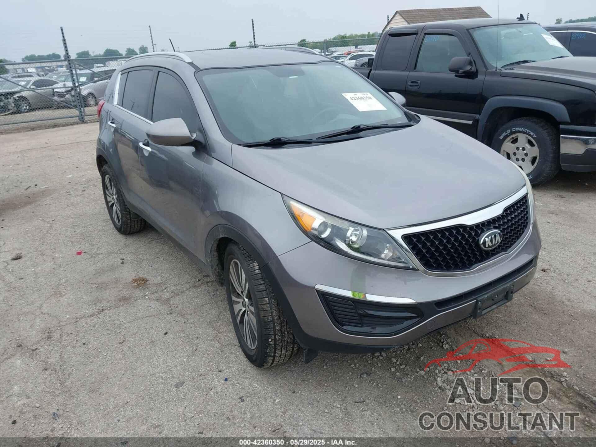 KIA SPORTAGE 2016 - KNDPC3AC5G7854029