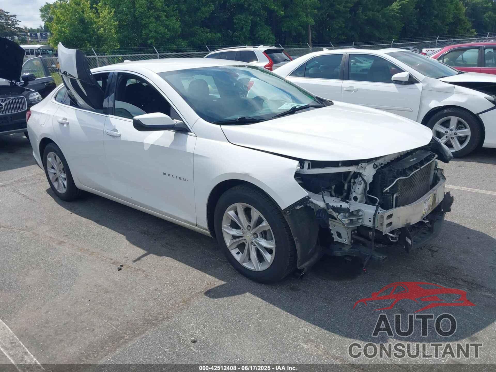 CHEVROLET MALIBU 2019 - 1G1ZD5ST7KF156223