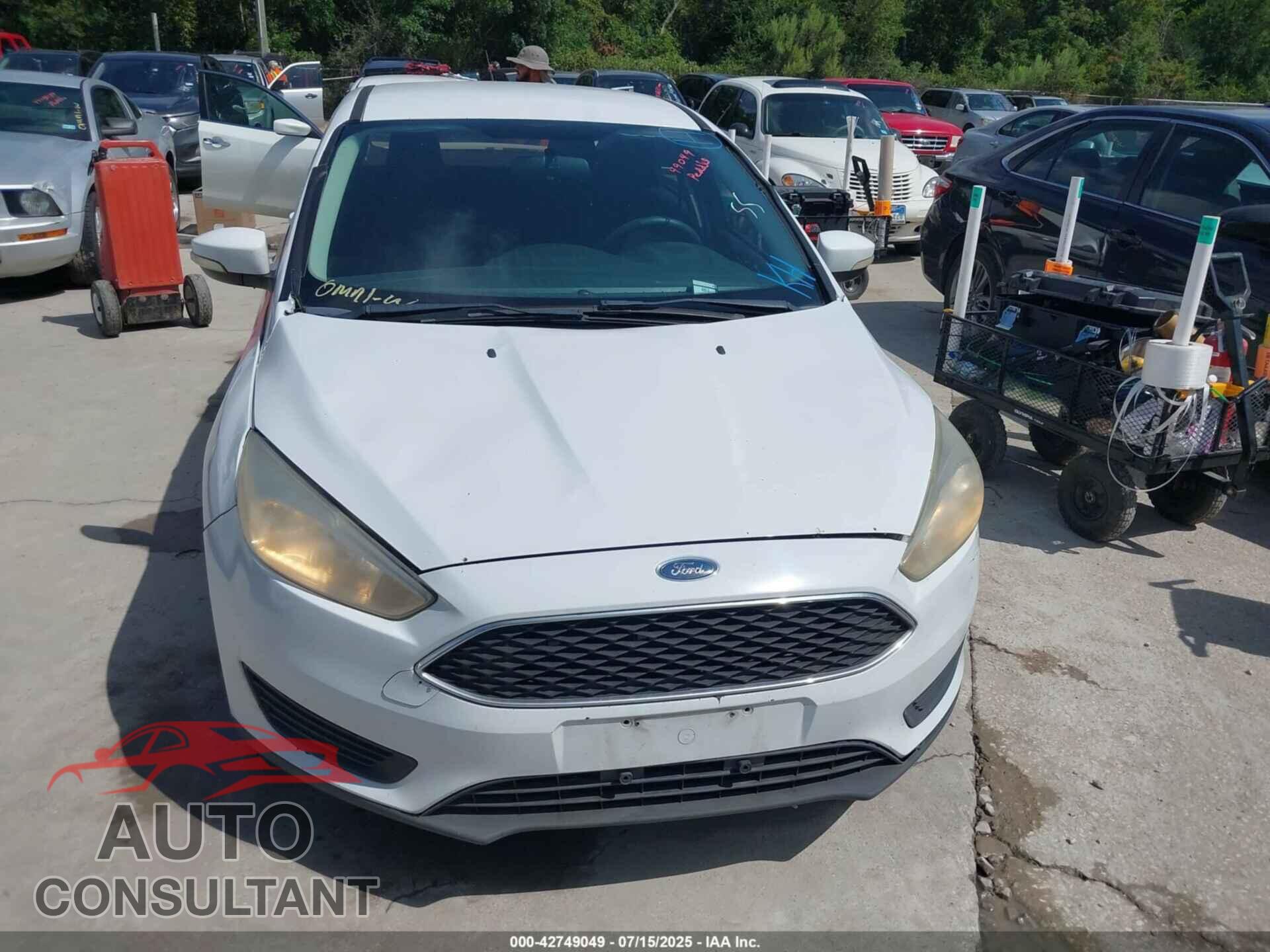 FORD FOCUS 2016 - 1FADP3F25GL291617