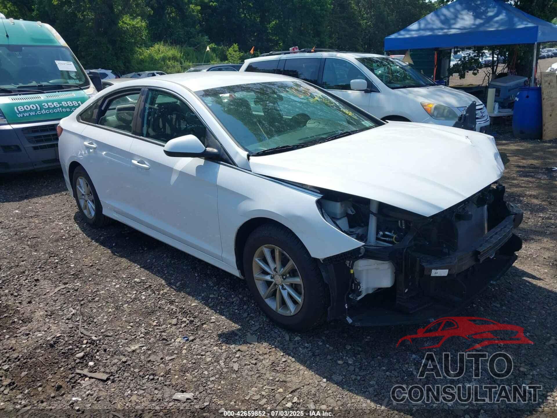 HYUNDAI SONATA 2019 - 5NPE24AF5KH794641