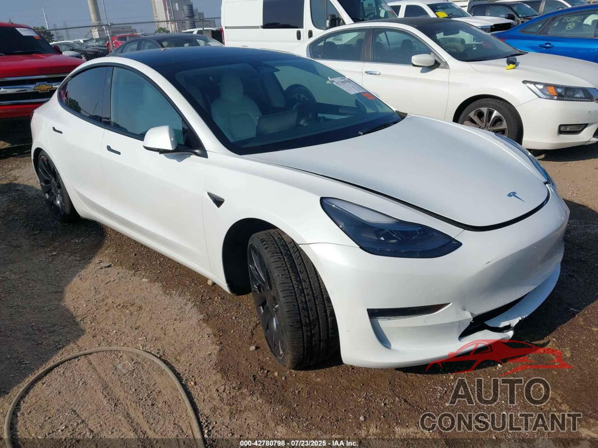 TESLA MODEL 3 2022 - 5YJ3E1EC7NF279124
