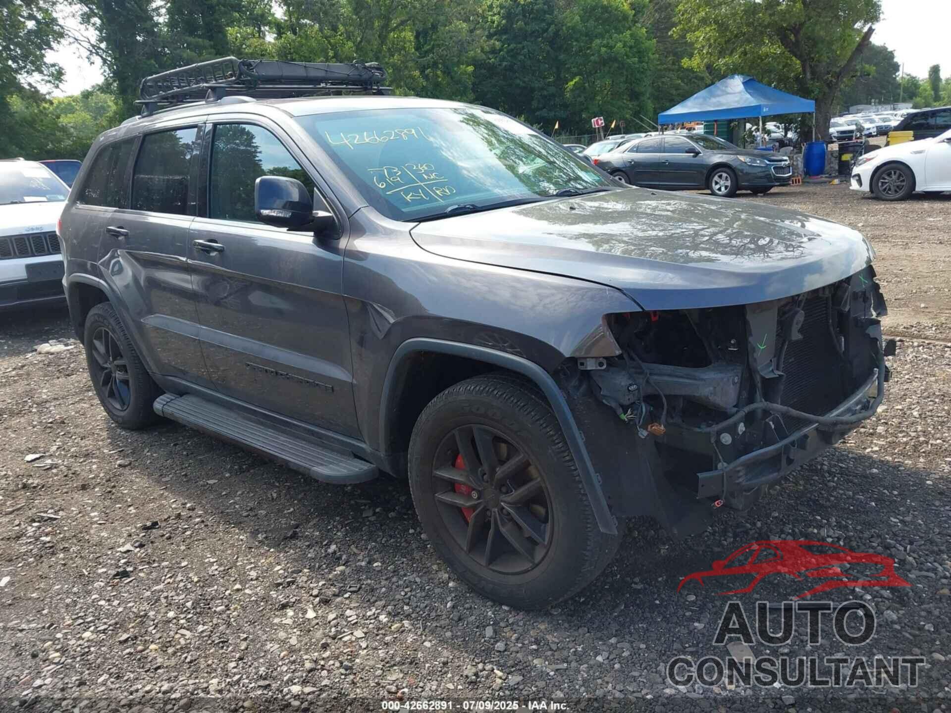 JEEP GRAND CHEROKEE 2019 - 1C4RJFBG9KC547738