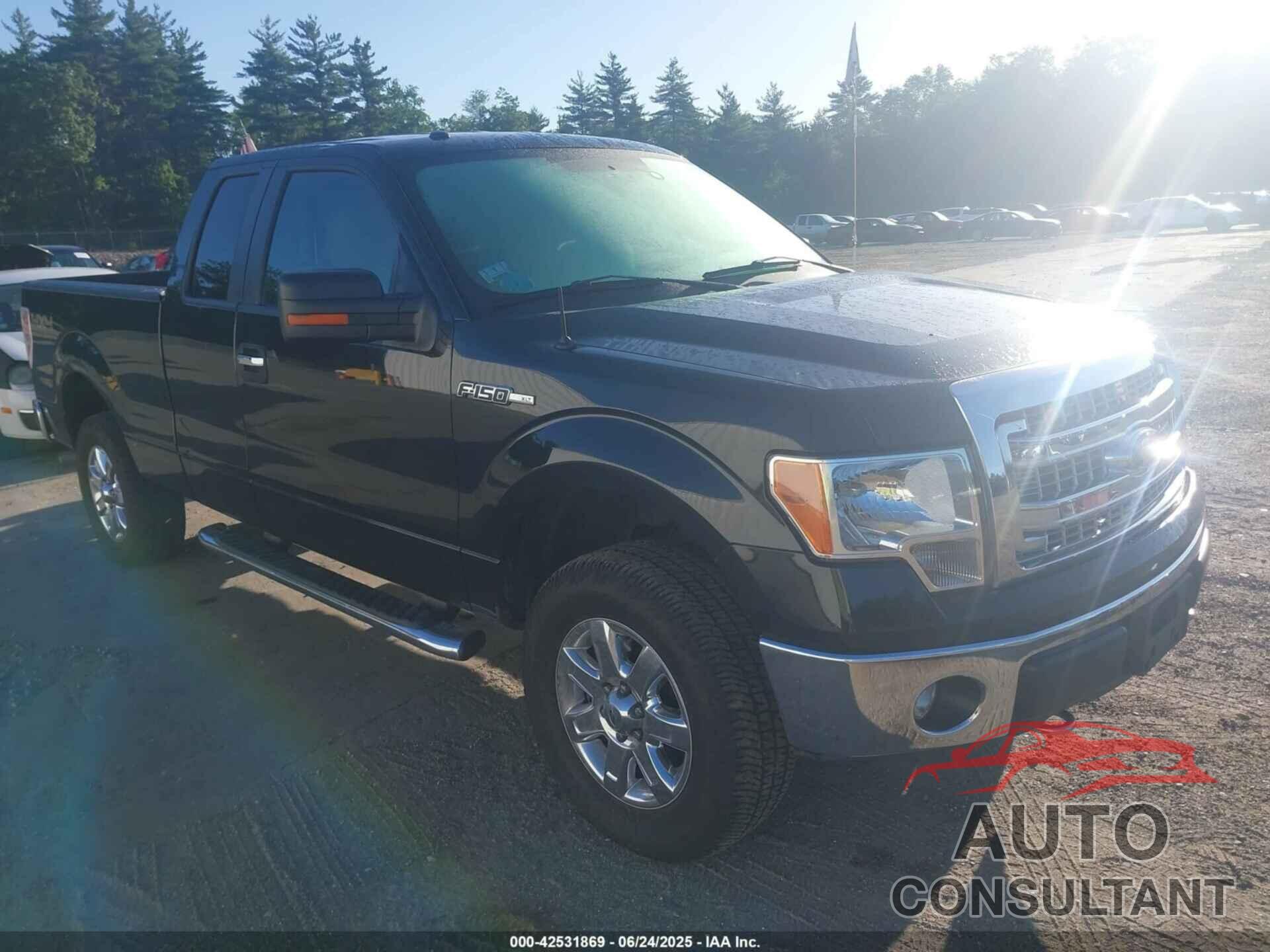 FORD F-150 2013 - 1FTFX1EF8DFD87800