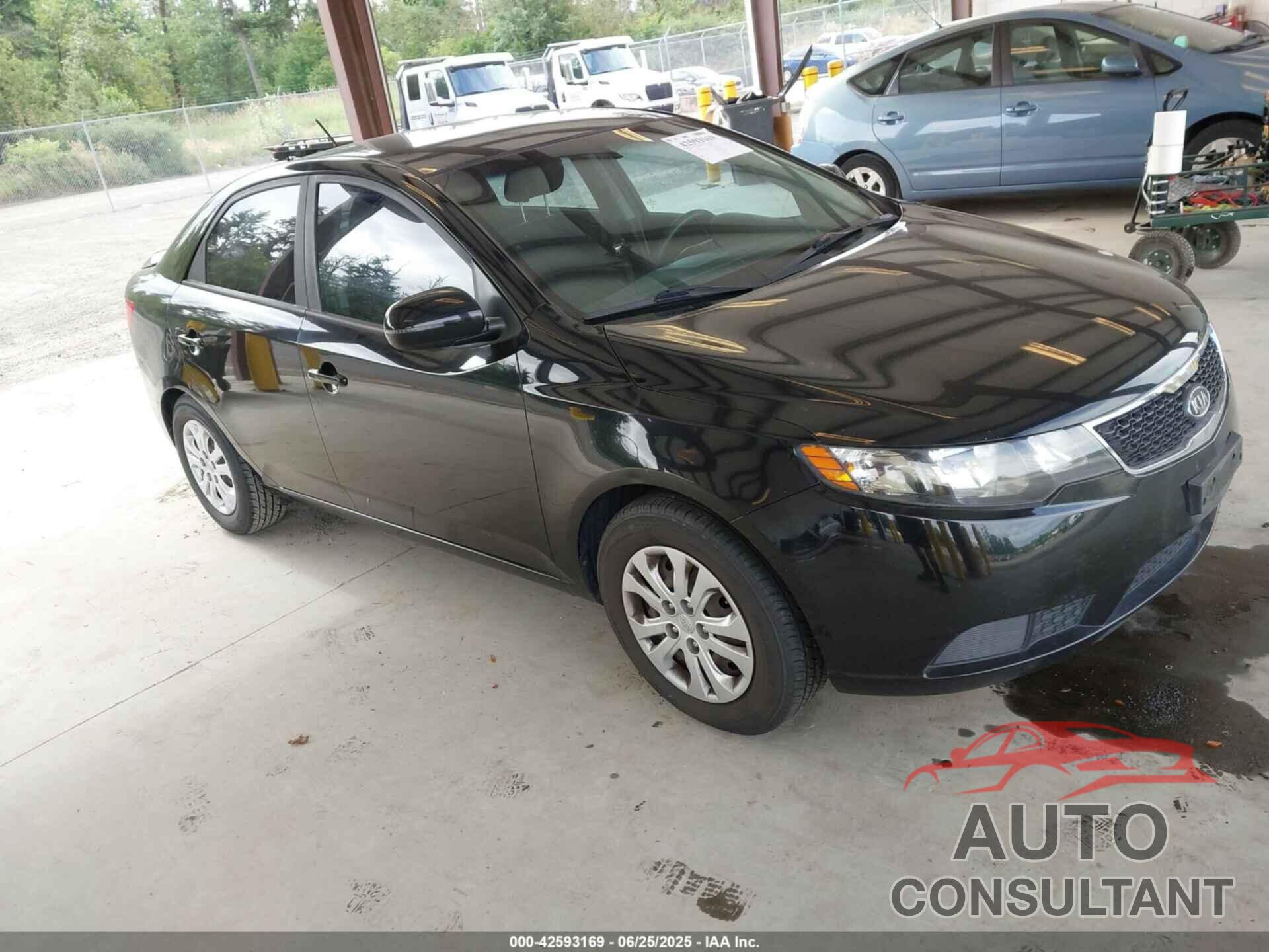 KIA FORTE 2012 - KNAFU4A24C5495944