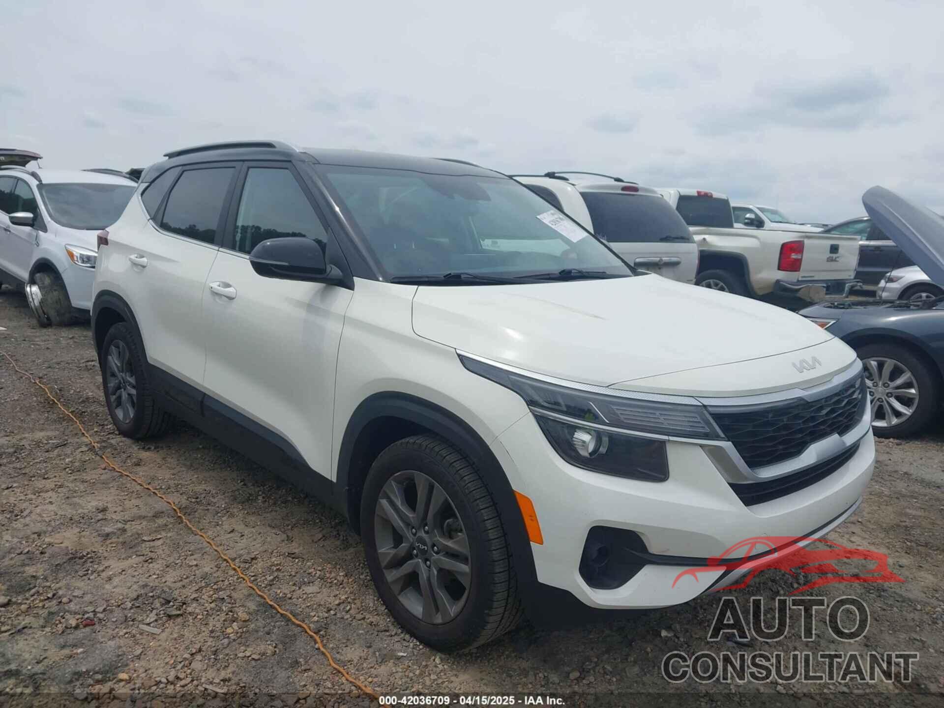 KIA SELTOS 2022 - KNDEU2AA9N7259484