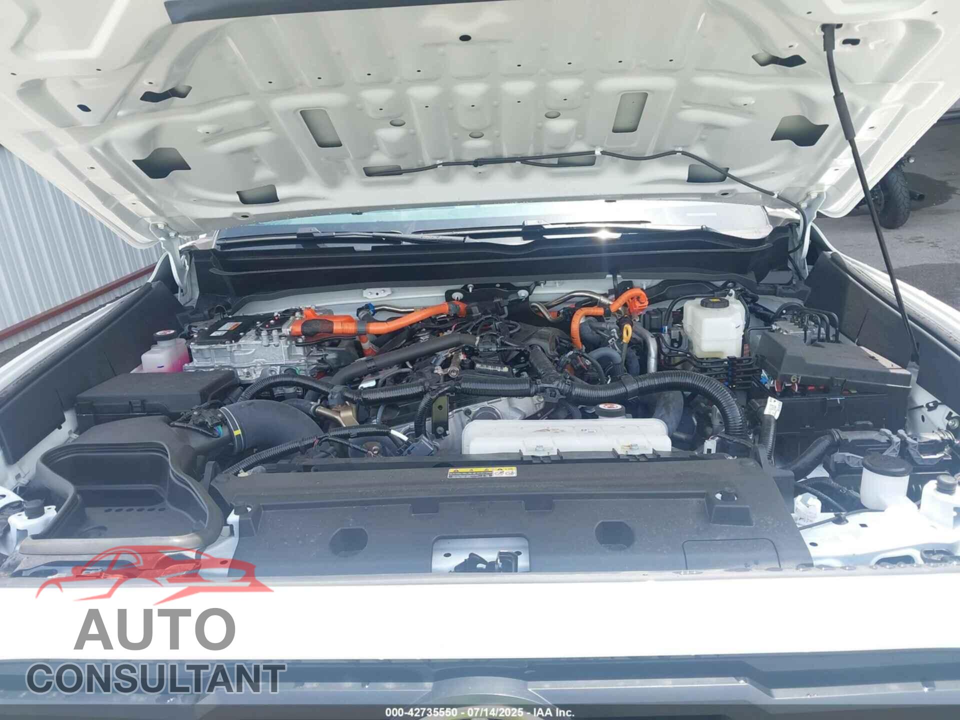 TOYOTA TACOMA HYBRID 2025 - 3TYLC5LN8ST020302