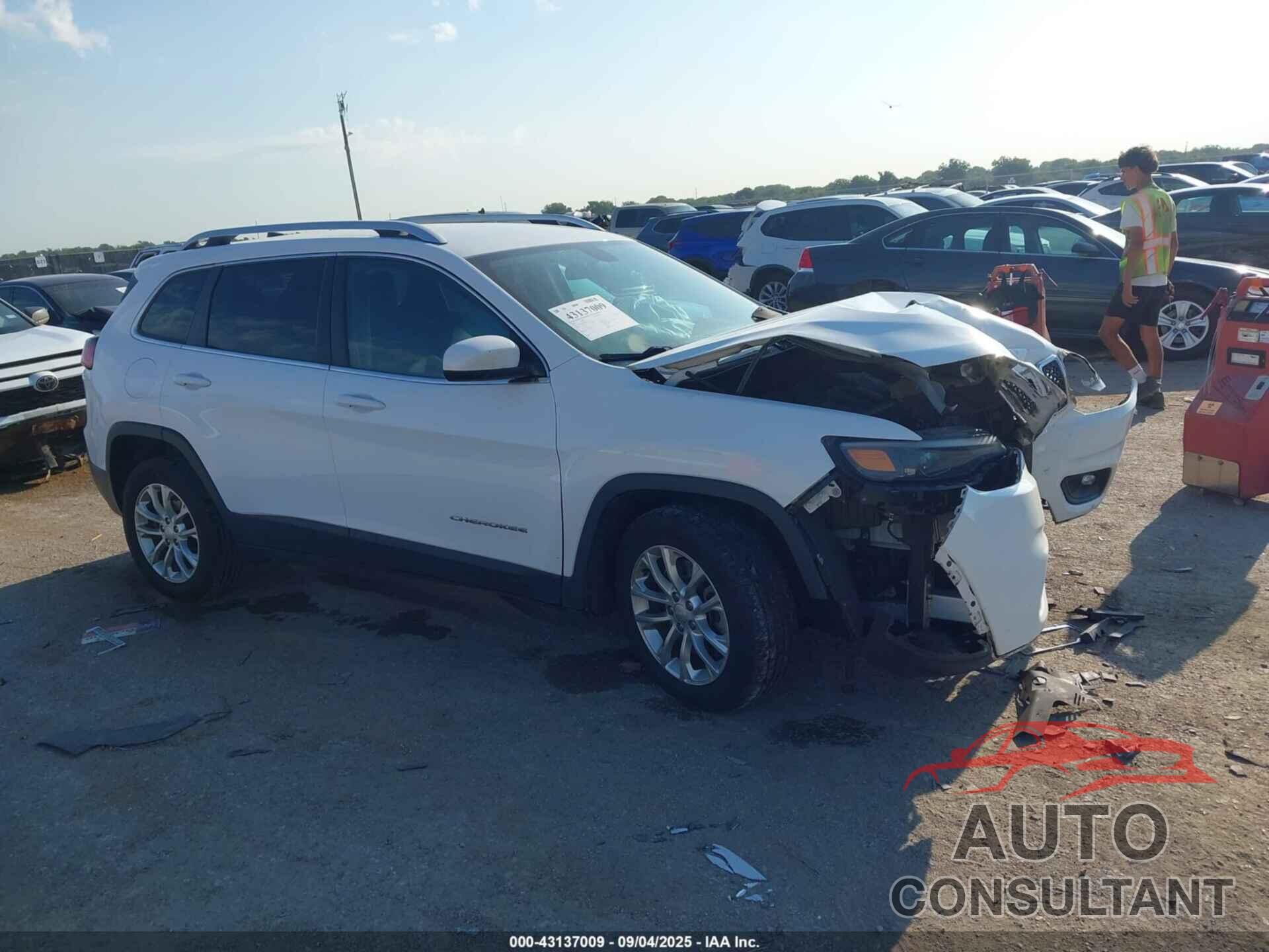 JEEP CHEROKEE 2019 - 1C4PJLCB4KD206623