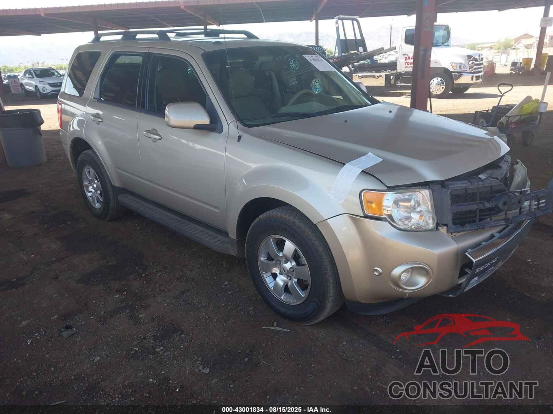 FORD ESCAPE 2011 - 1FMCU9EG1BKC63855