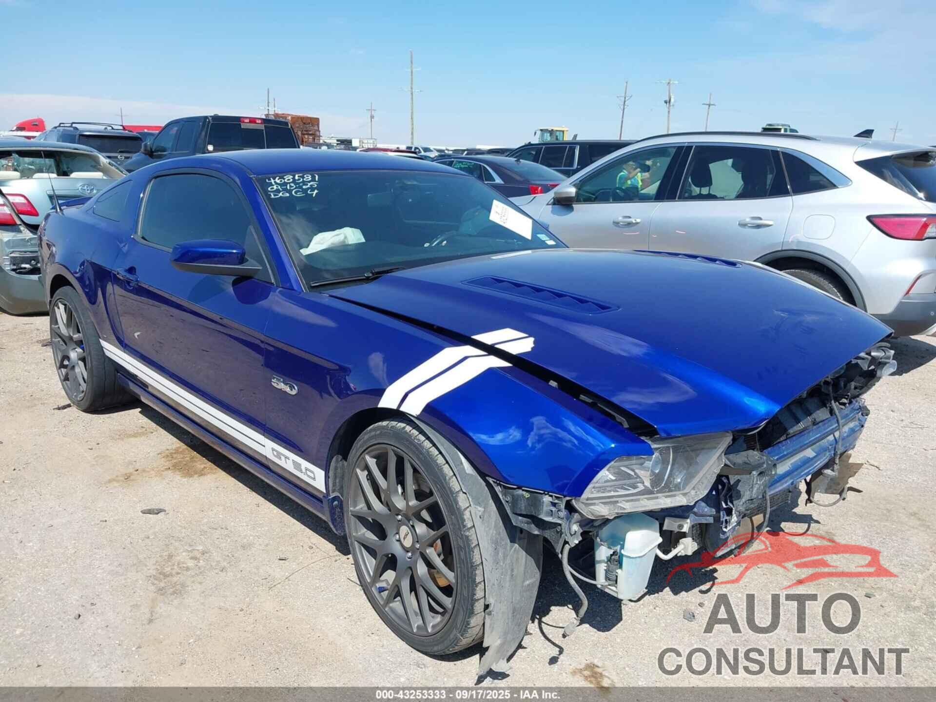 FORD MUSTANG 2013 - 1ZVBP8CF8D5266911