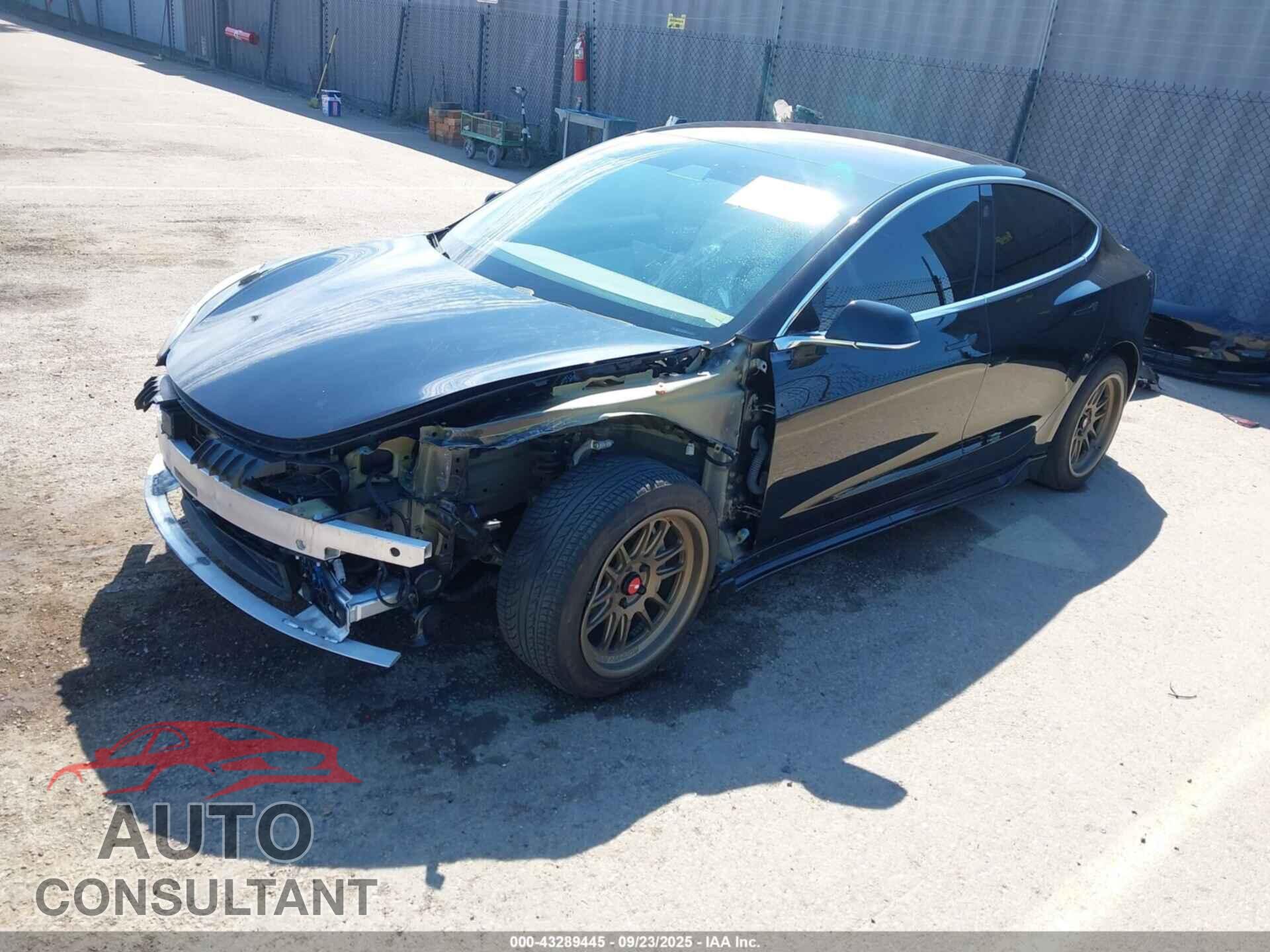 TESLA MODEL 3 2019 - 5YJ3E1EA9KF311999