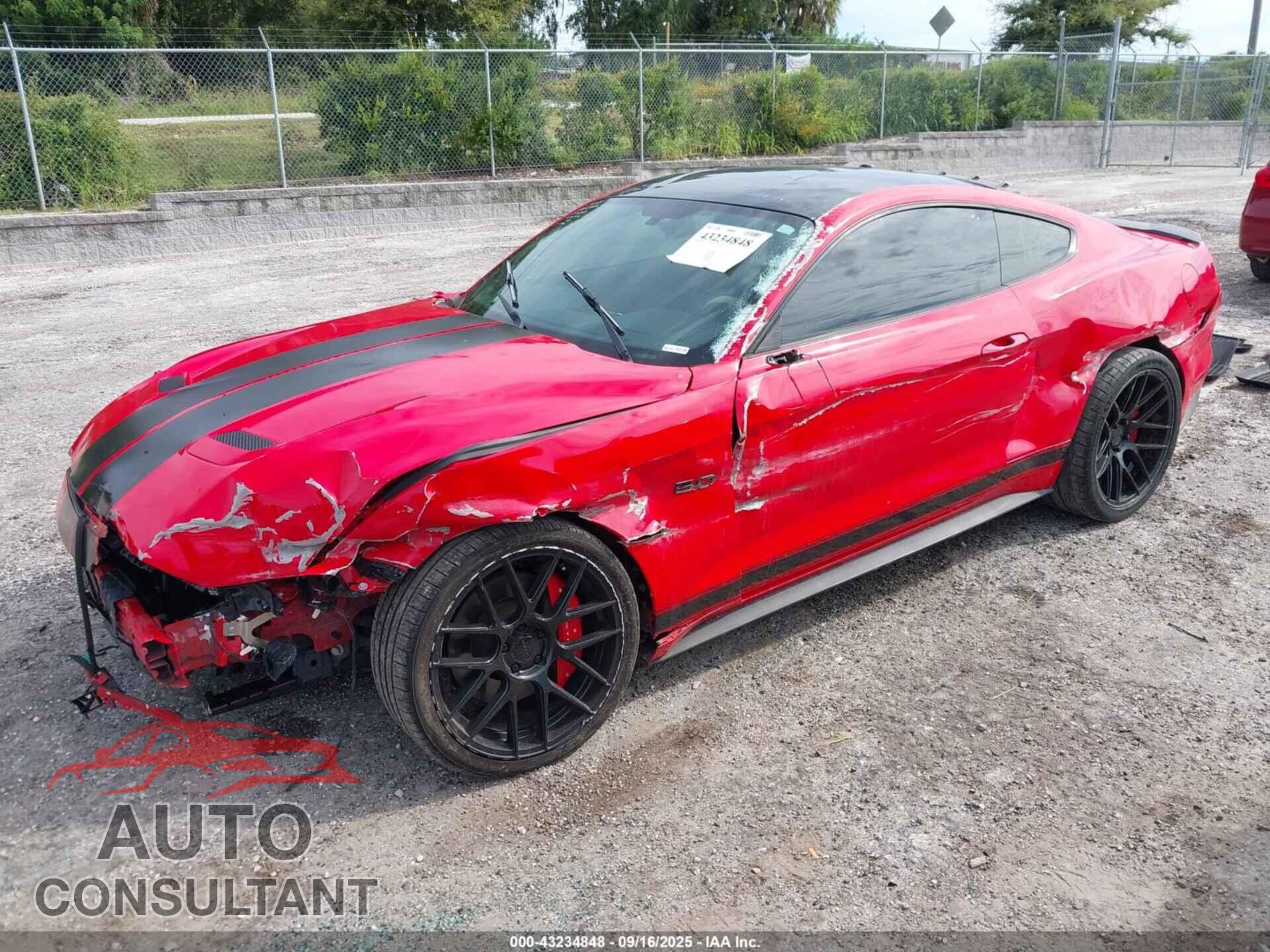 FORD MUSTANG 2019 - 1FA6P8CF1K5205424