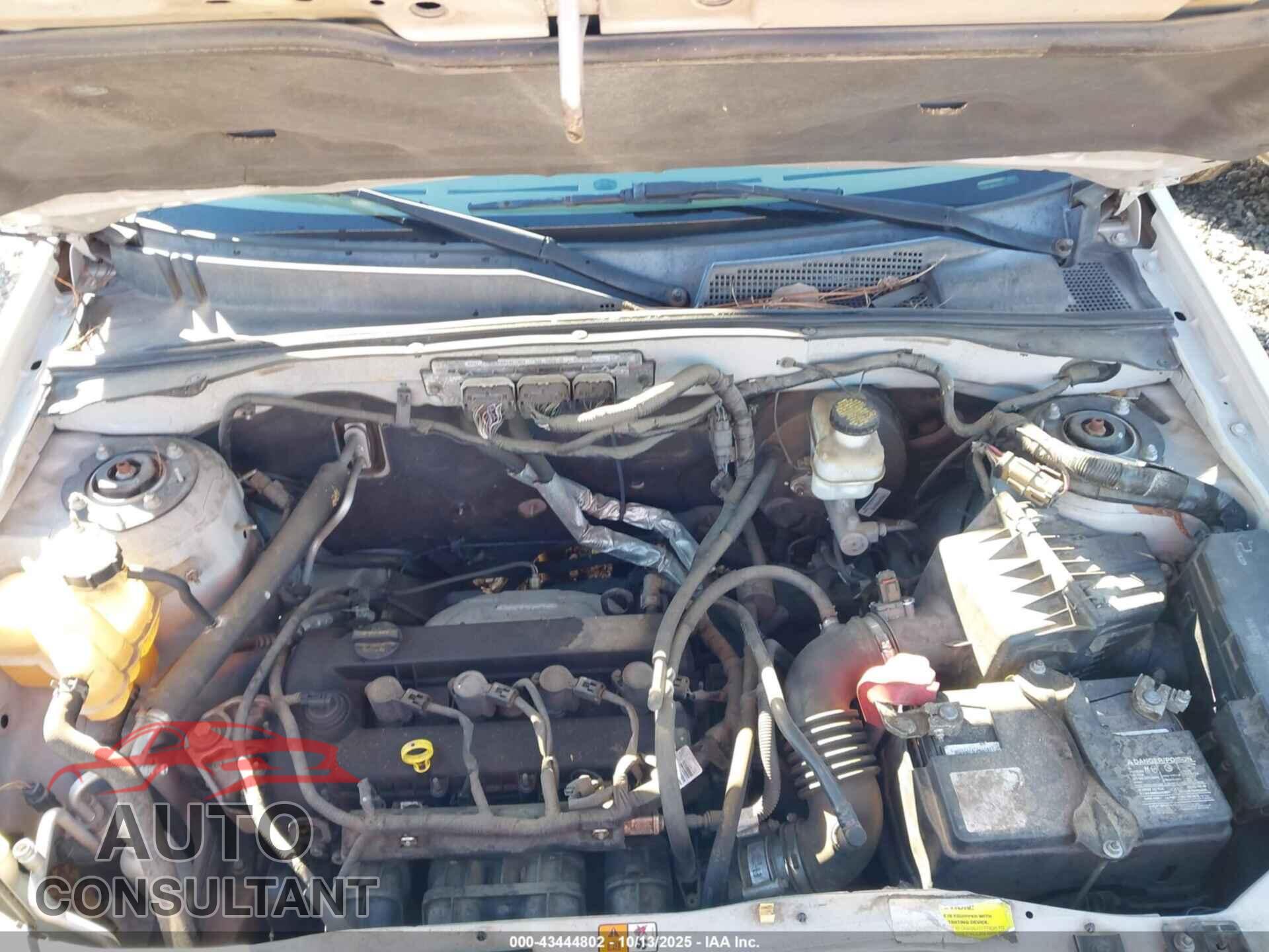FORD ESCAPE 2010 - 1FMCU9D79AKB29191