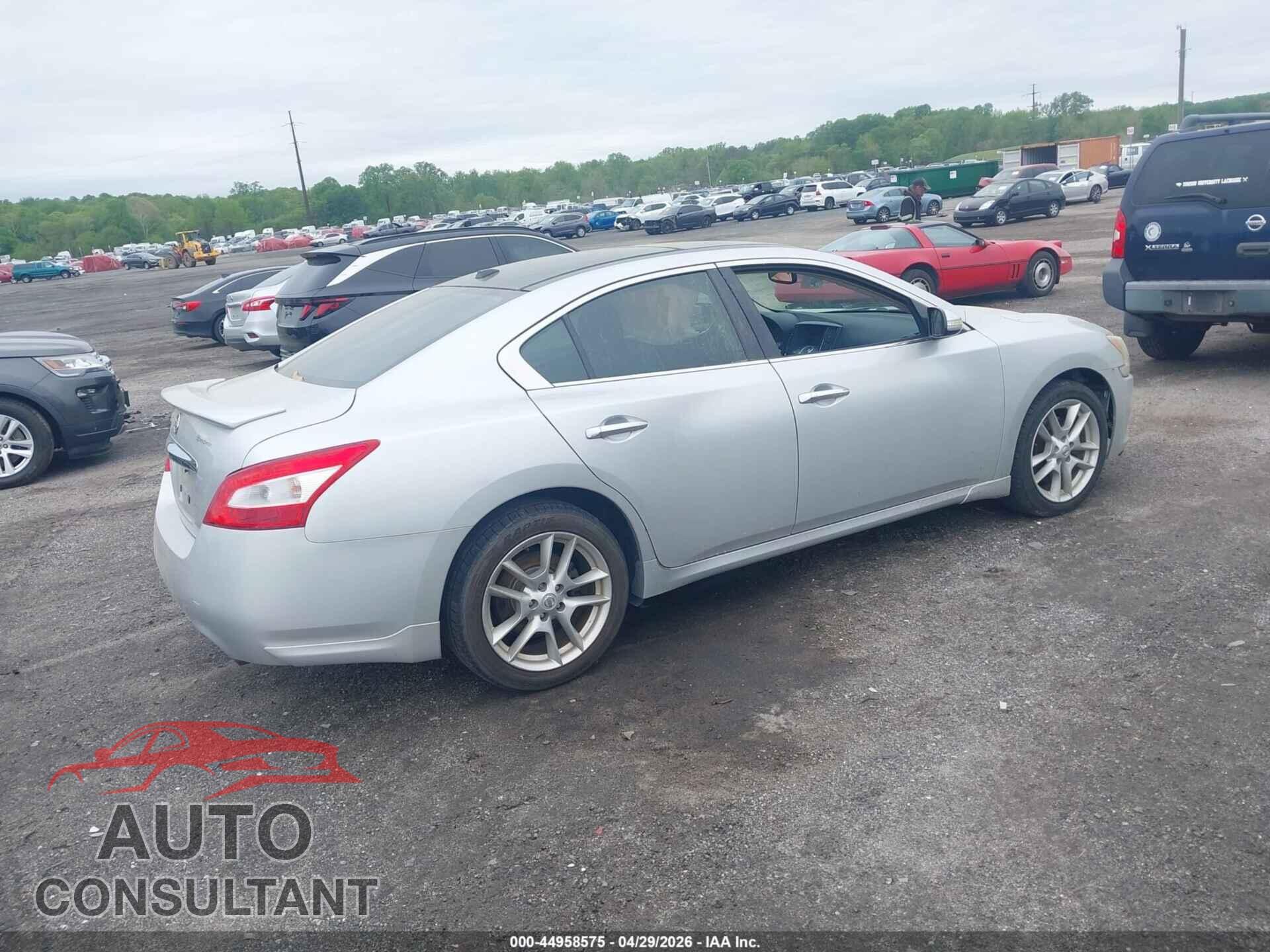 NISSAN MAXIMA 2011 - 1N4AA5AP0BC828065